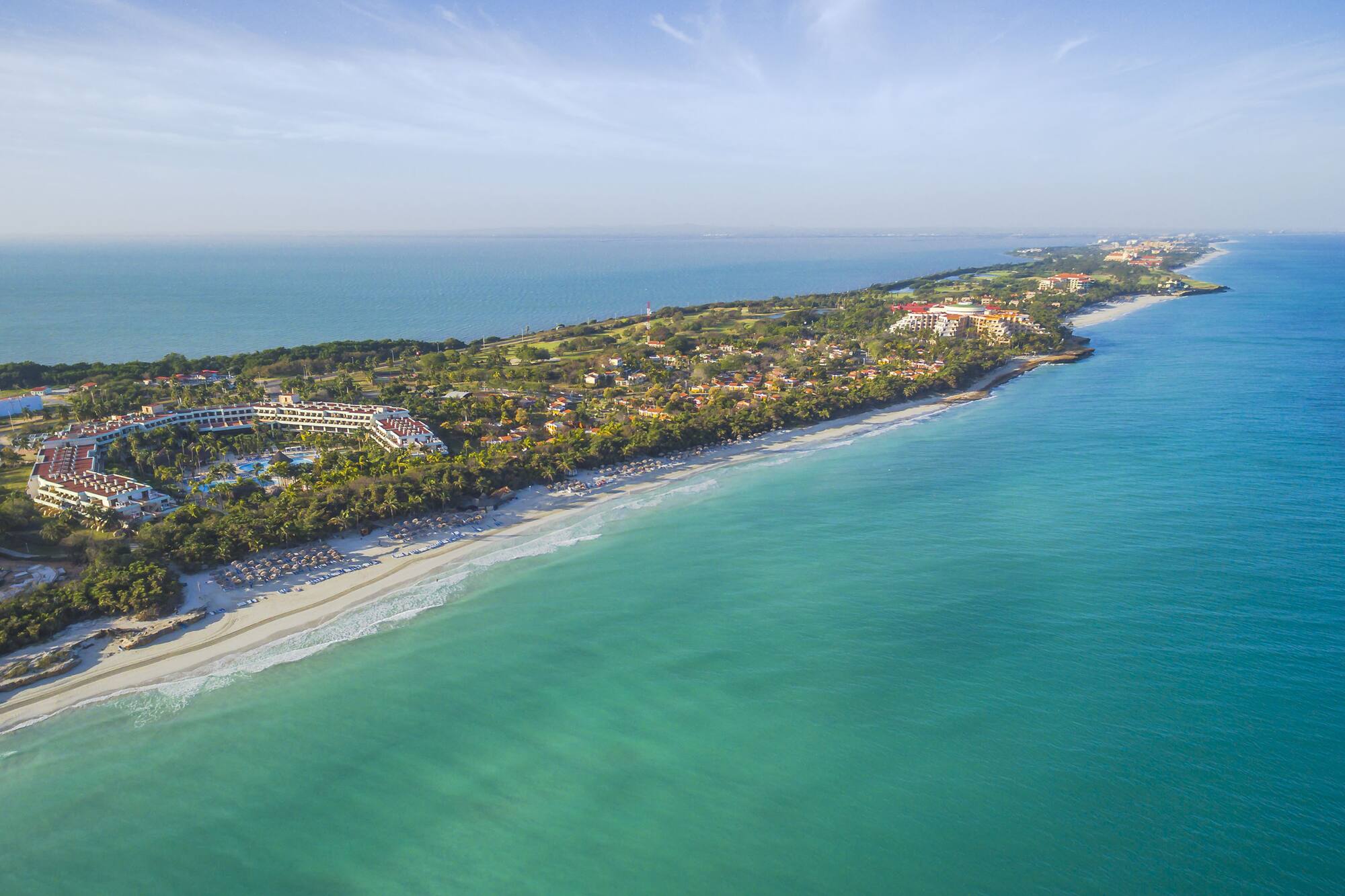 a beach with buildings and trees