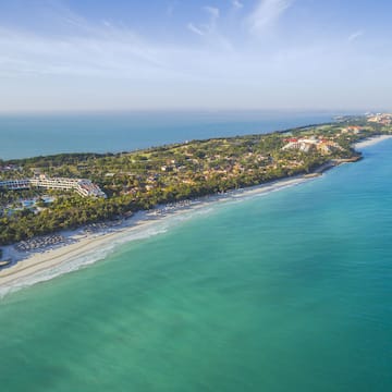 a beach with buildings and trees