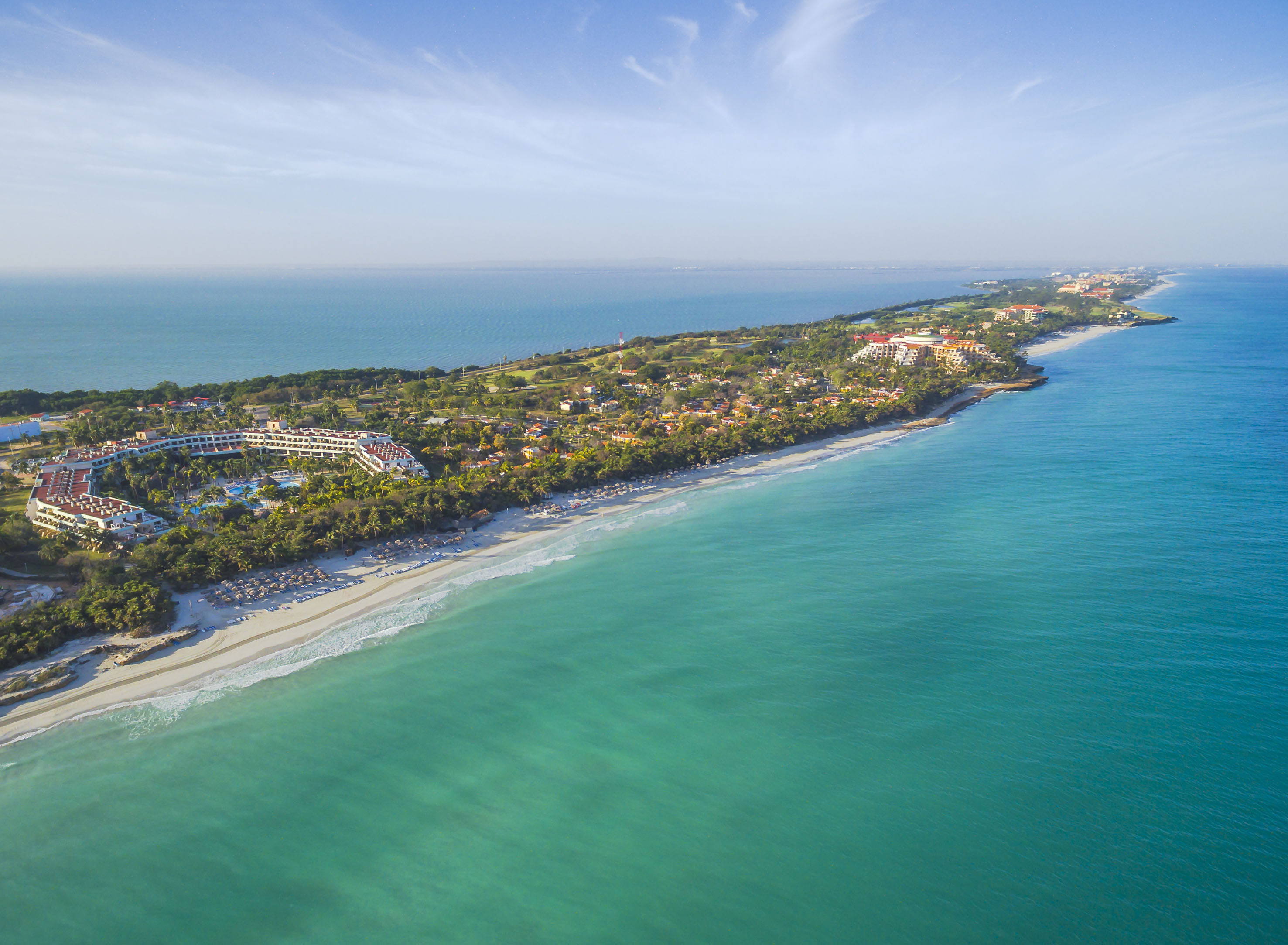 a beach with buildings and trees