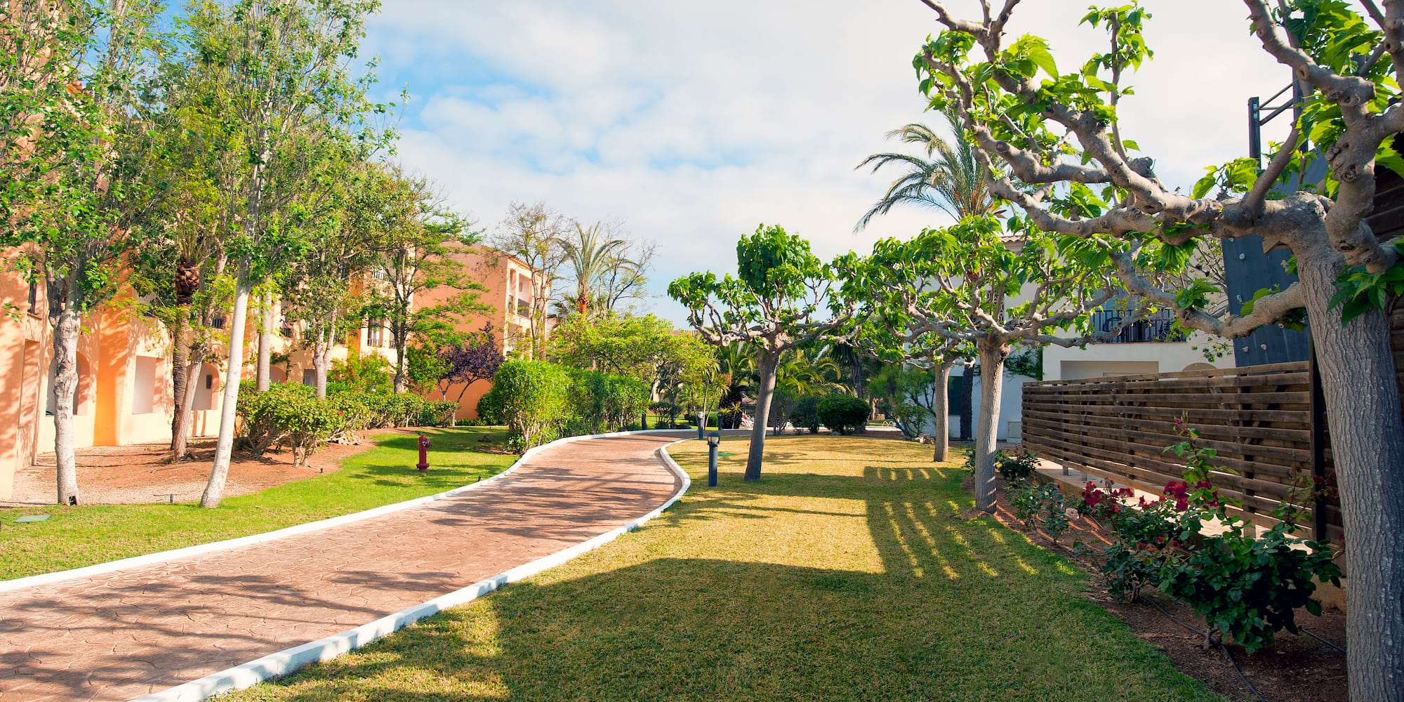 a path with trees and buildings in the background
