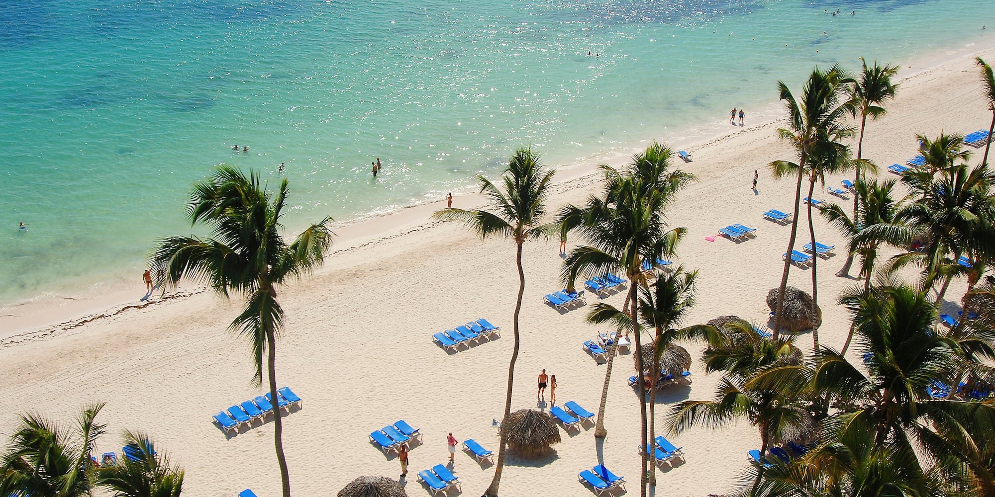 a beach with palm trees and chairs