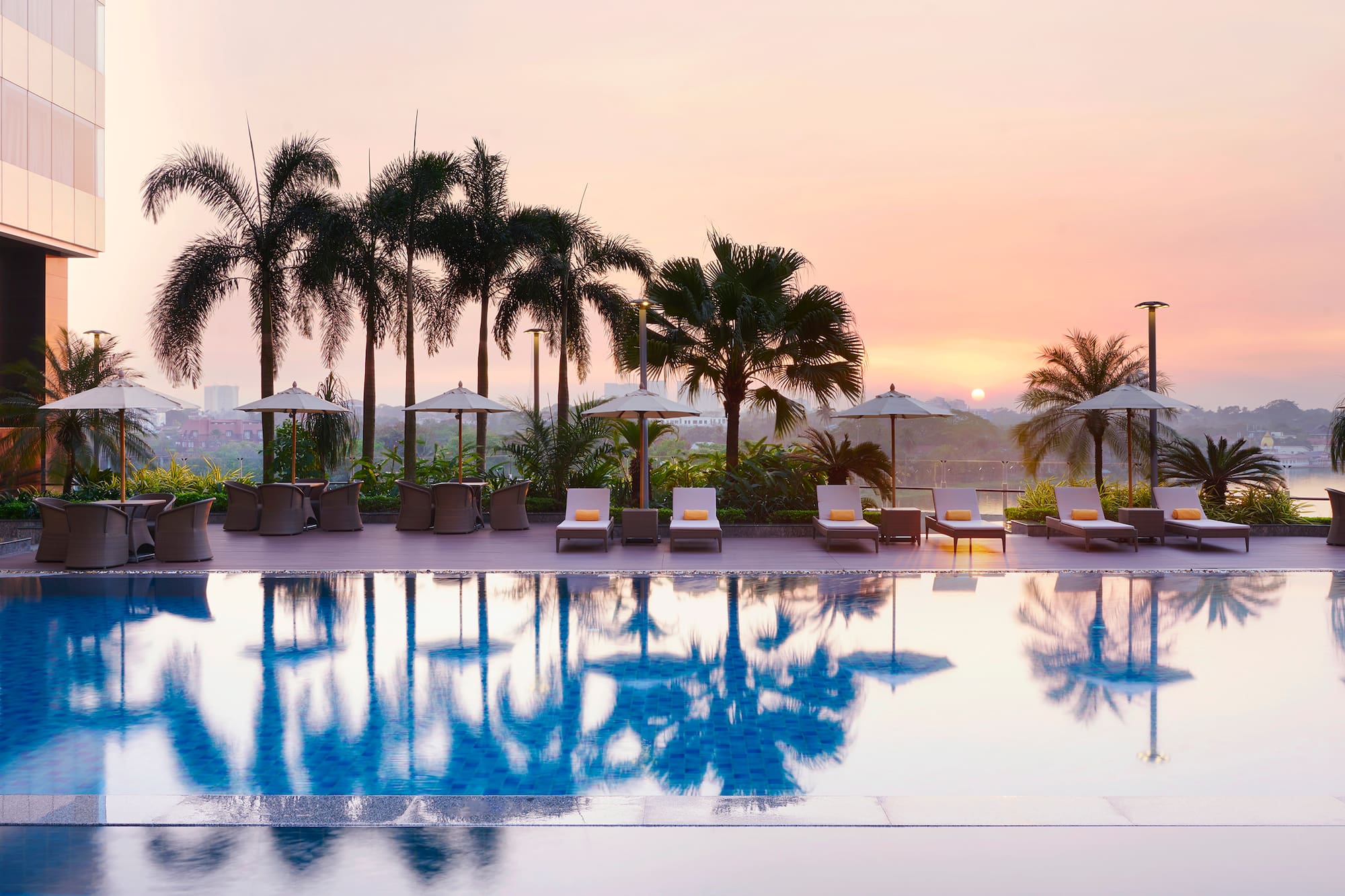 a pool with chairs and umbrellas and palm trees