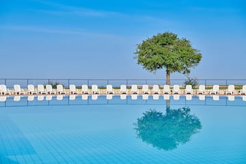 a pool with chairs and a tree