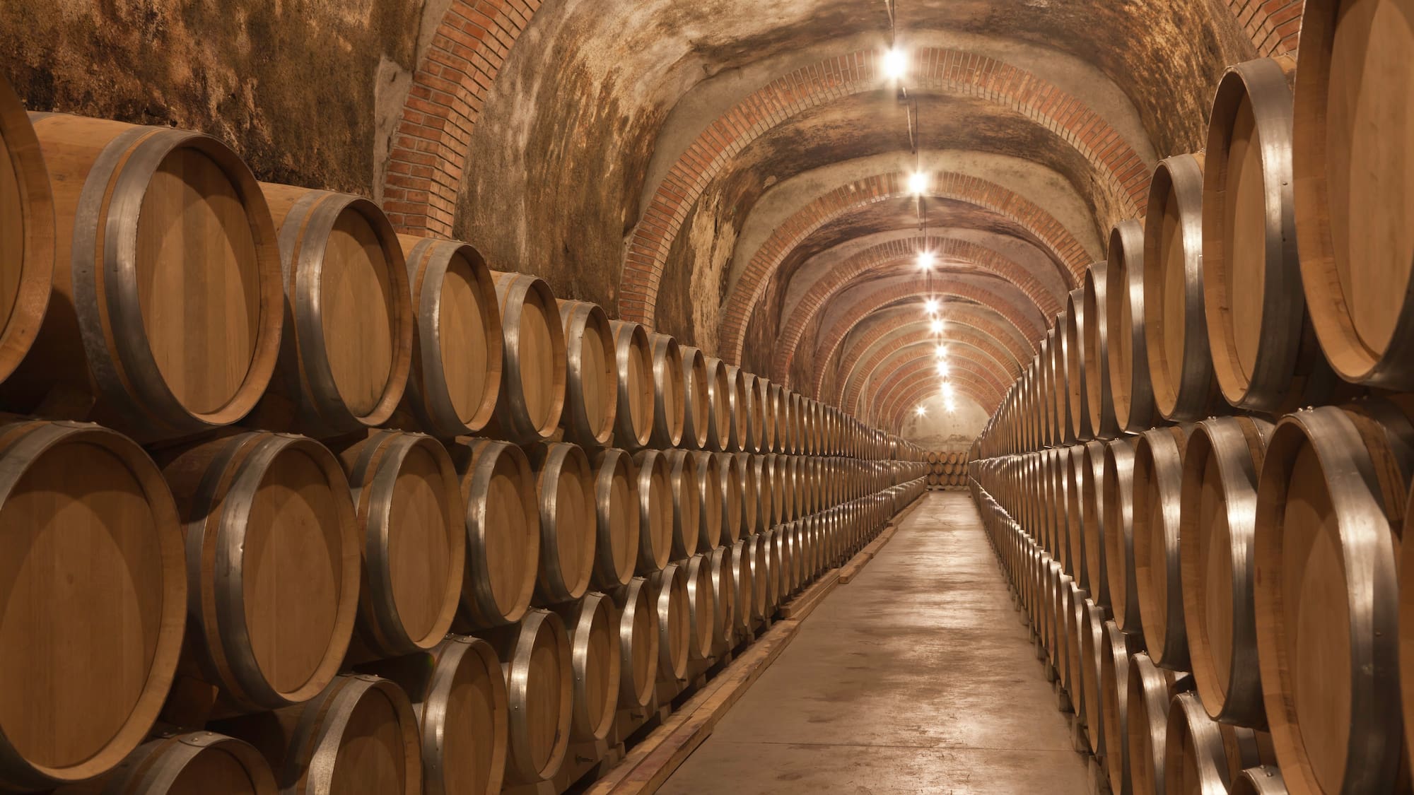 a rows of barrels in a cellar