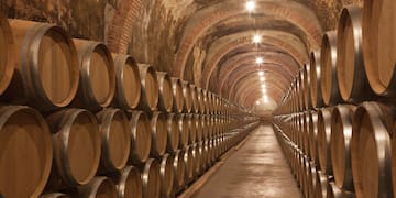 a rows of barrels in a cellar