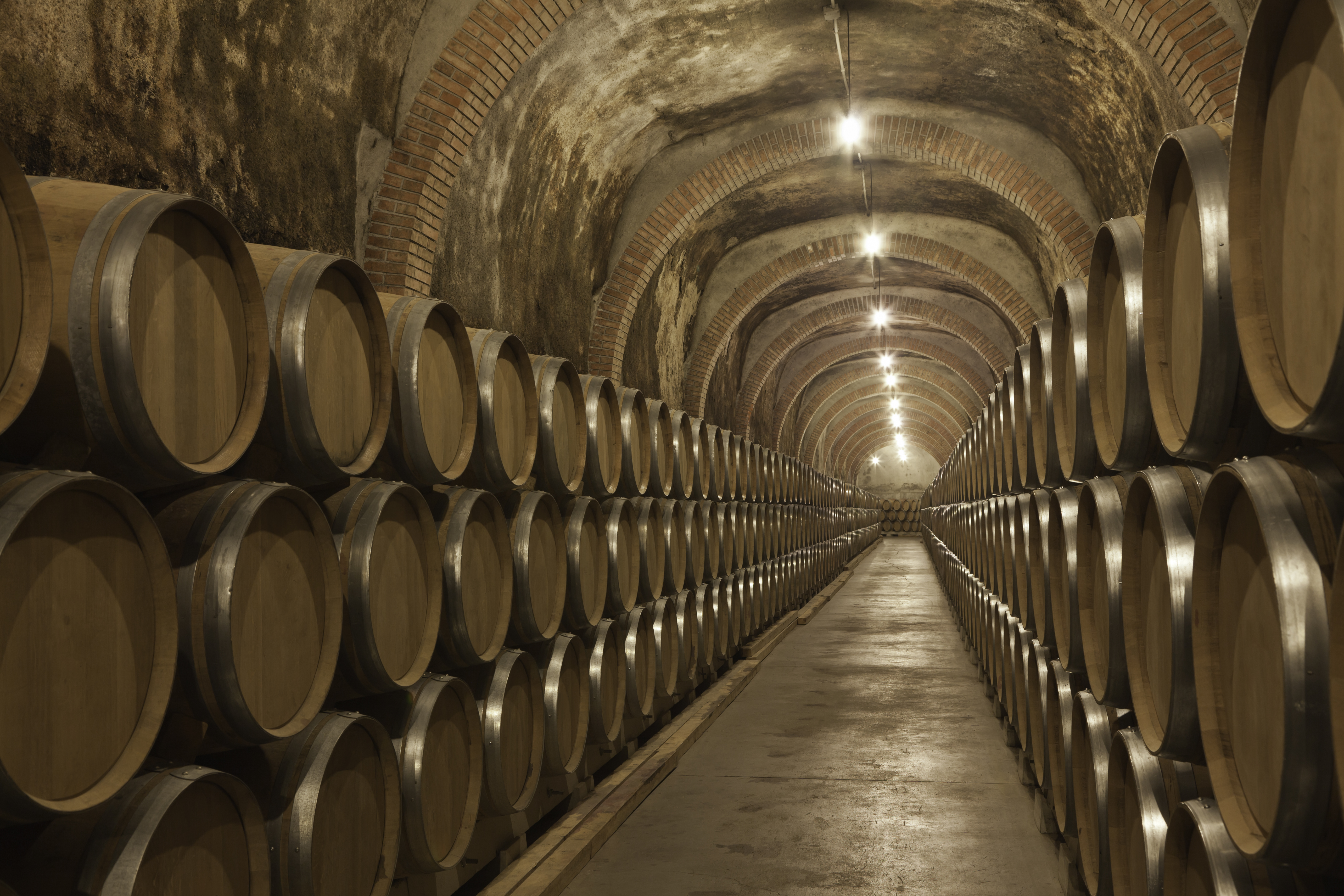a rows of barrels in a cellar