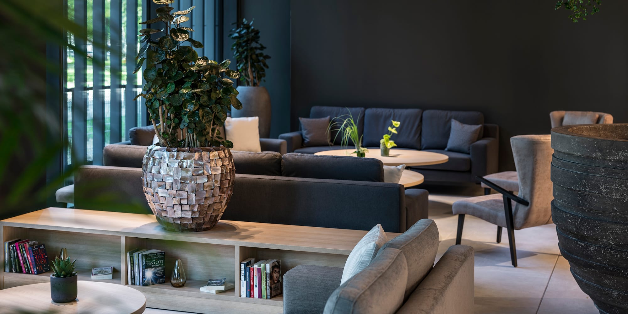 a room with couches and a plant