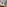 Modern hotel room, king bed, tree ring art, balcony with nature view.