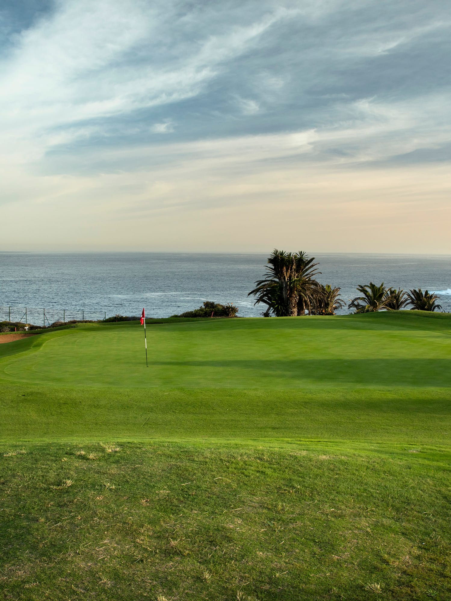 a golf course with a flag on the grass