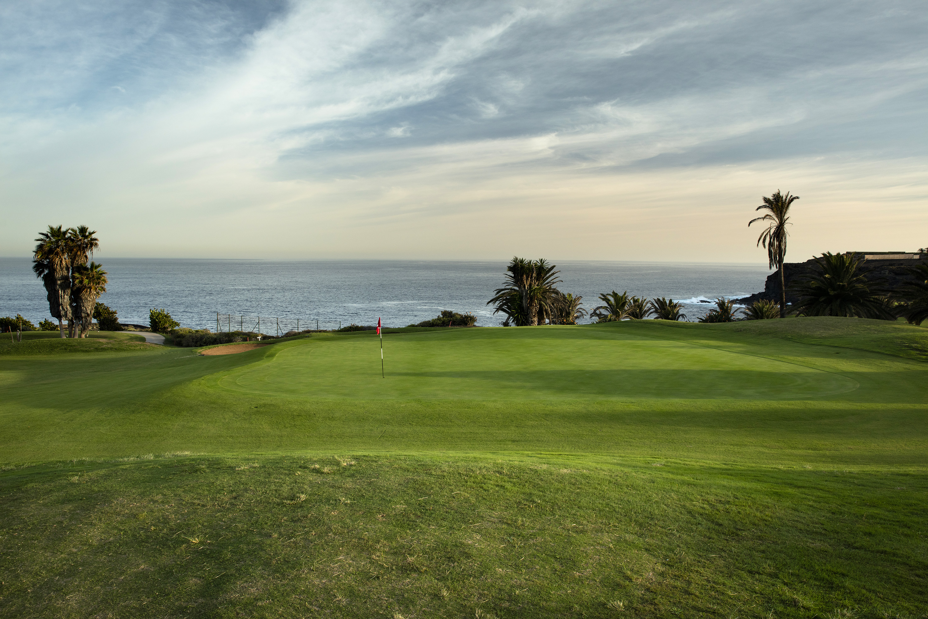 Coastal golf course green overlooking ocean, with palm trees and red flag.