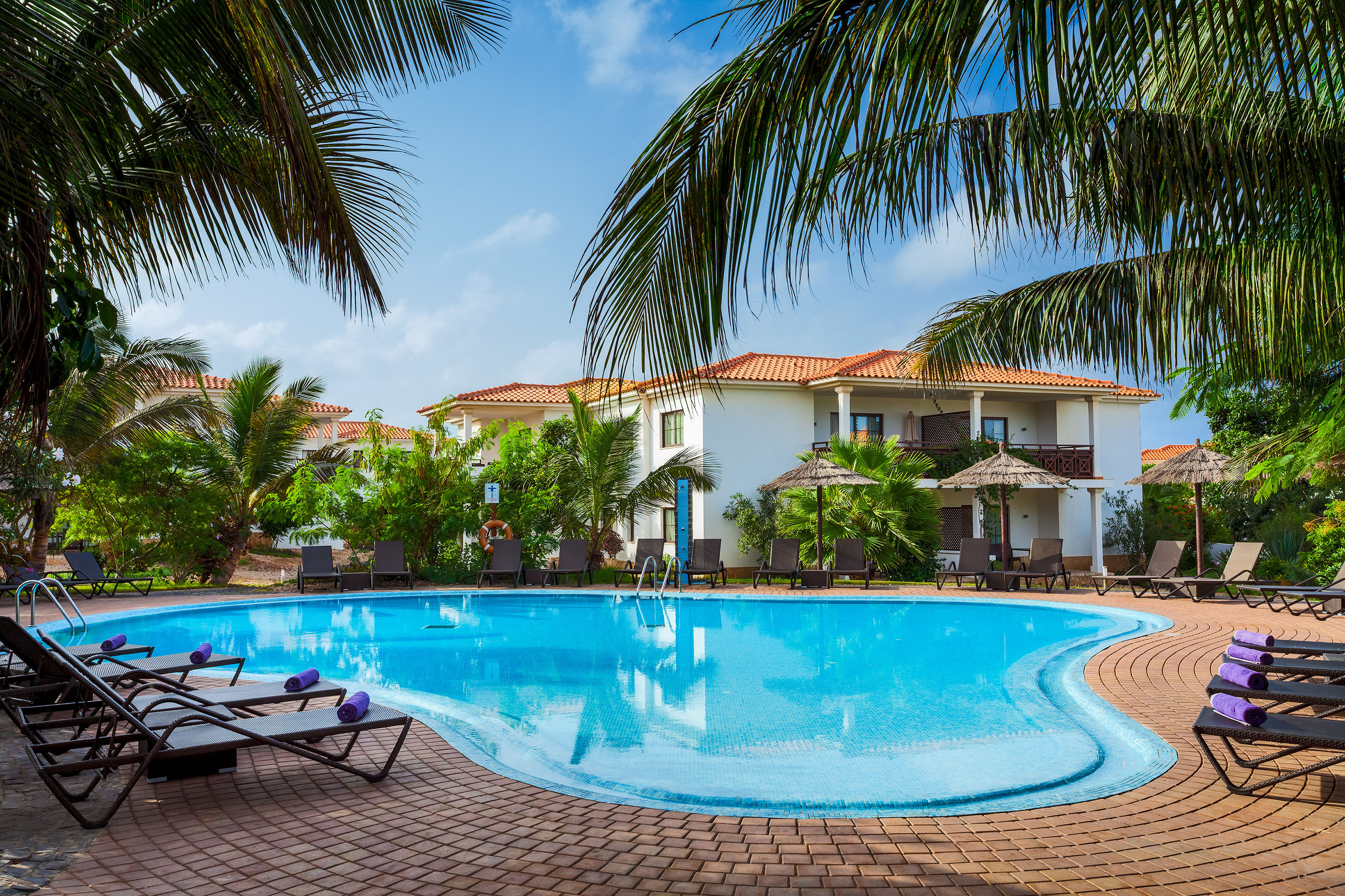 a pool with lounge chairs and palm trees