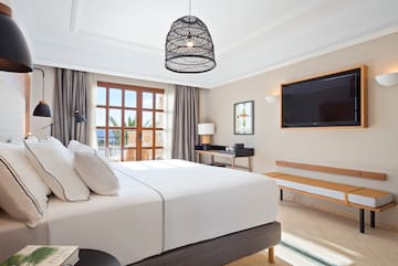 a bedroom with a large bed and a television