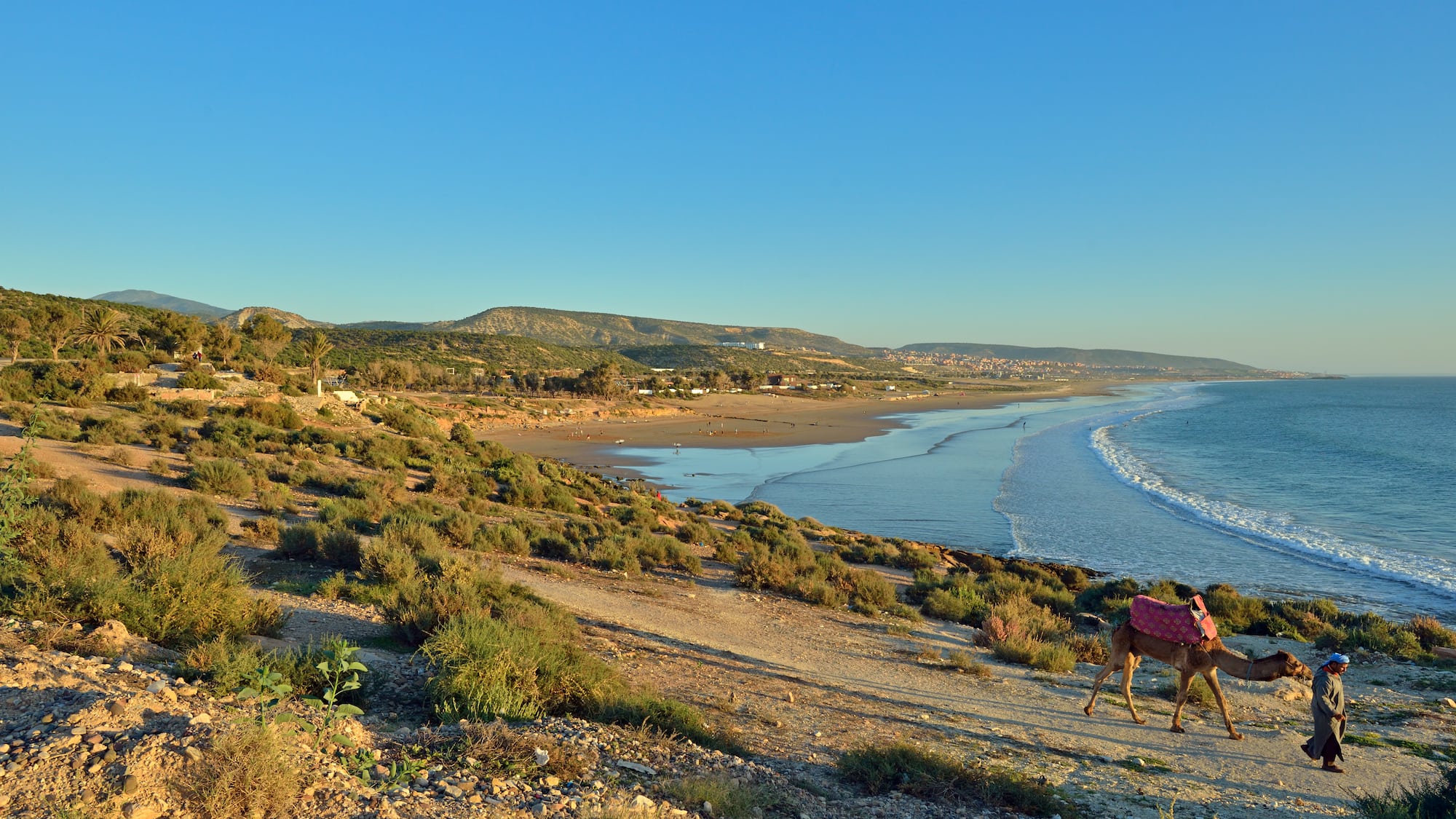 a person walking on a dirt path near a beach