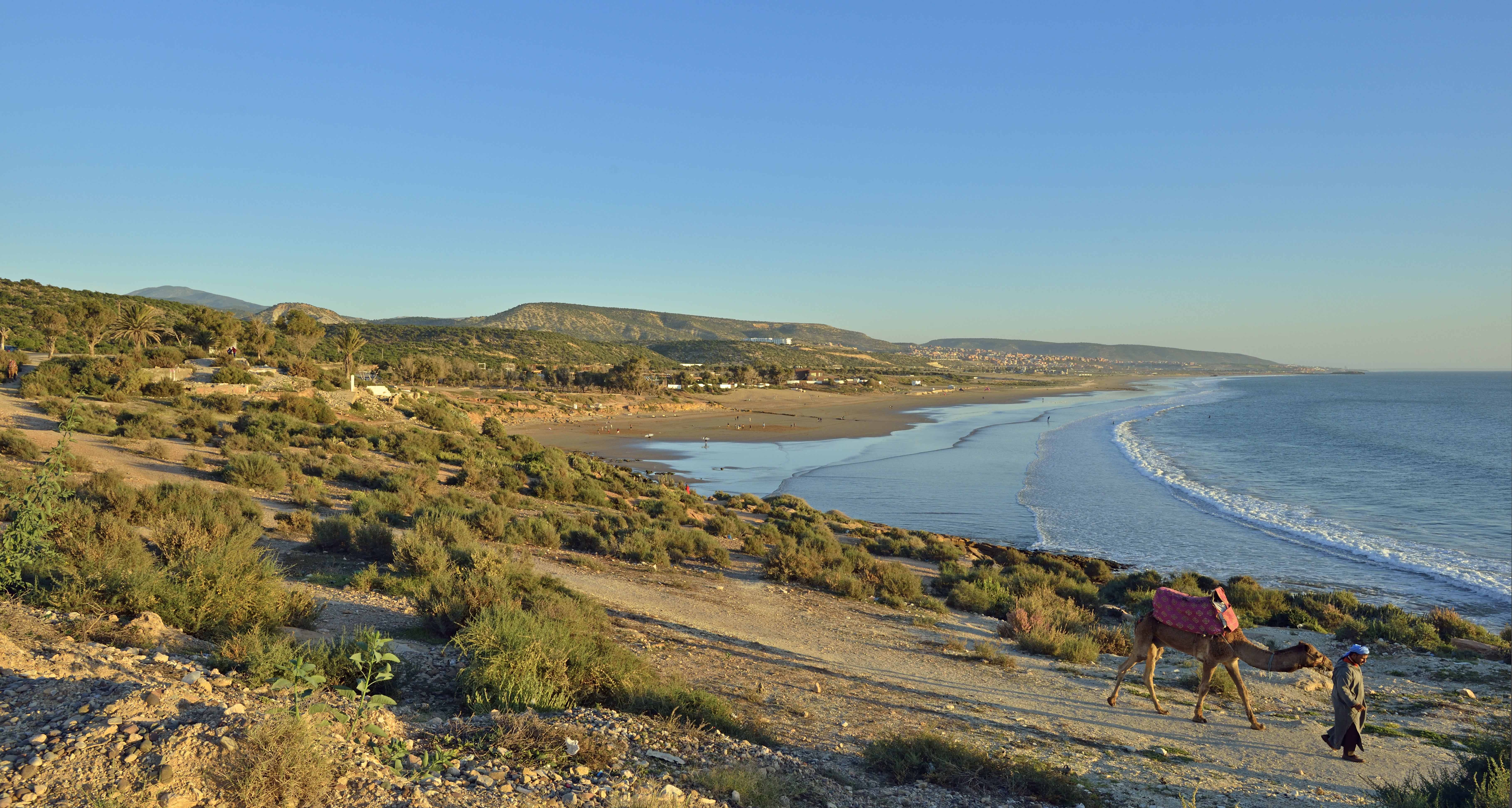 a person walking on a dirt path near a beach
