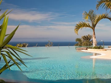 a pool with a palm tree and a beach in the background
