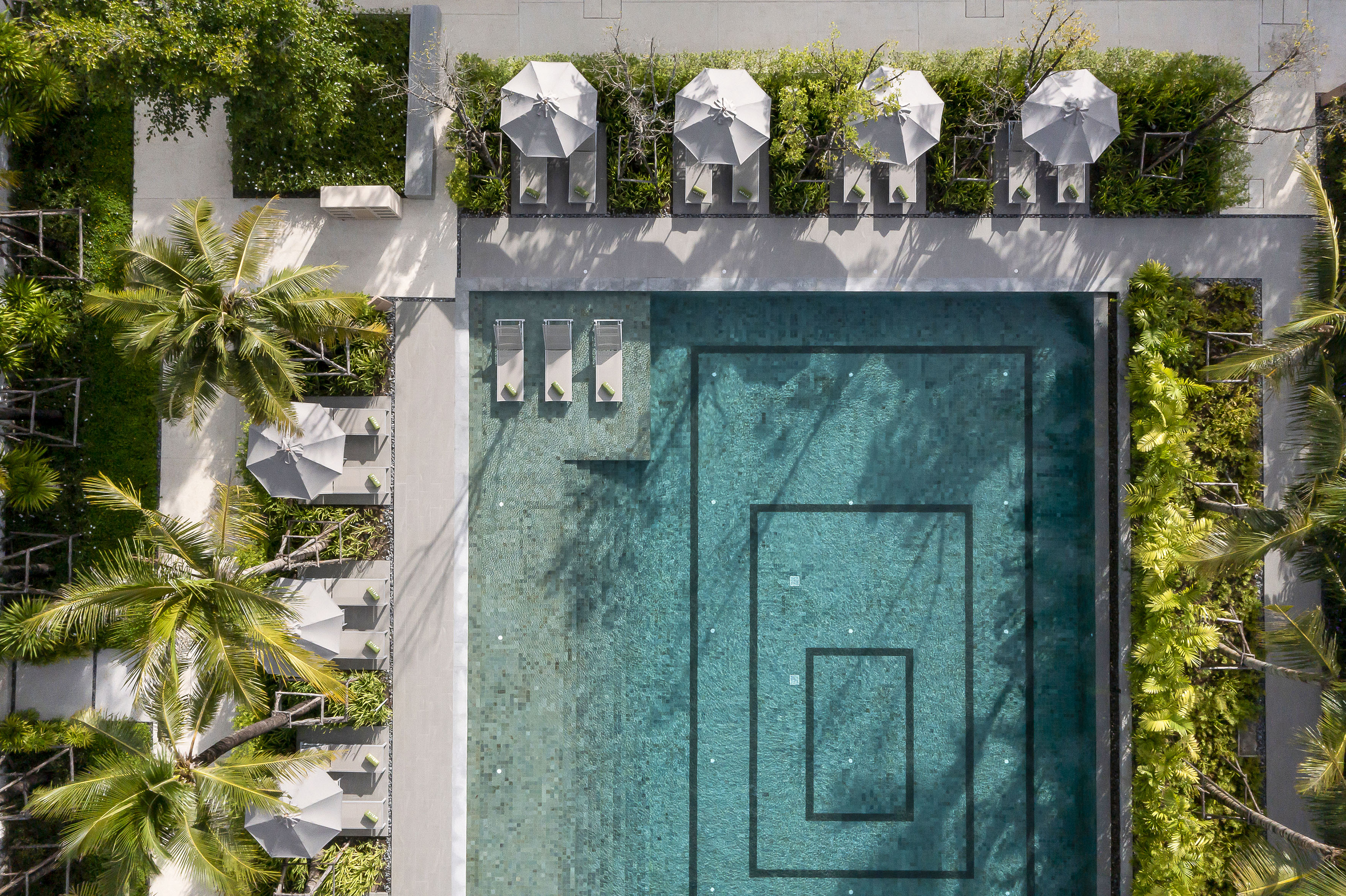 Aerial view of a resort pool with sun loungers, umbrellas, and palm trees.