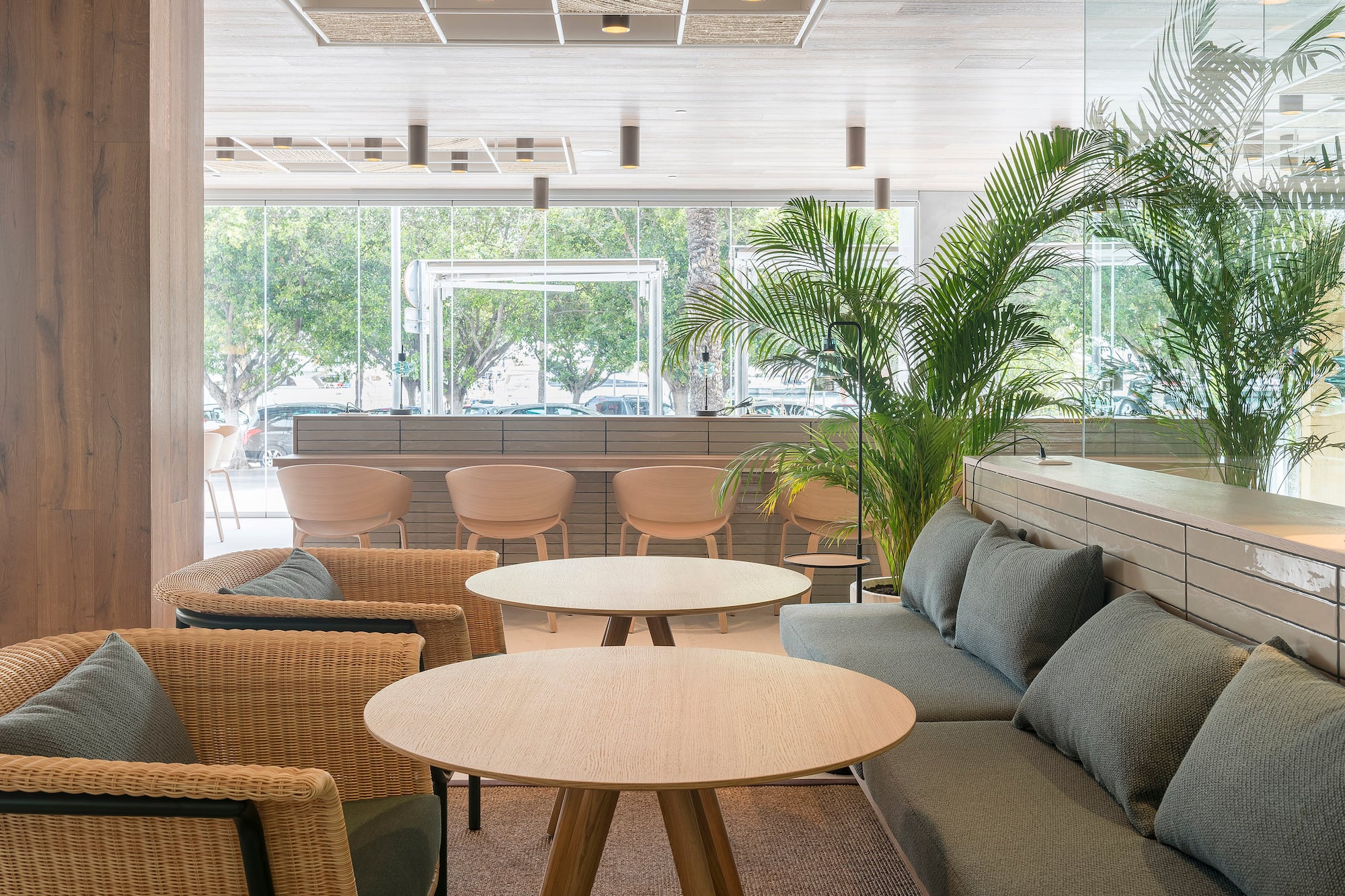 Modern lounge interior with wicker chairs, grey sofa, wood tables, and plants.