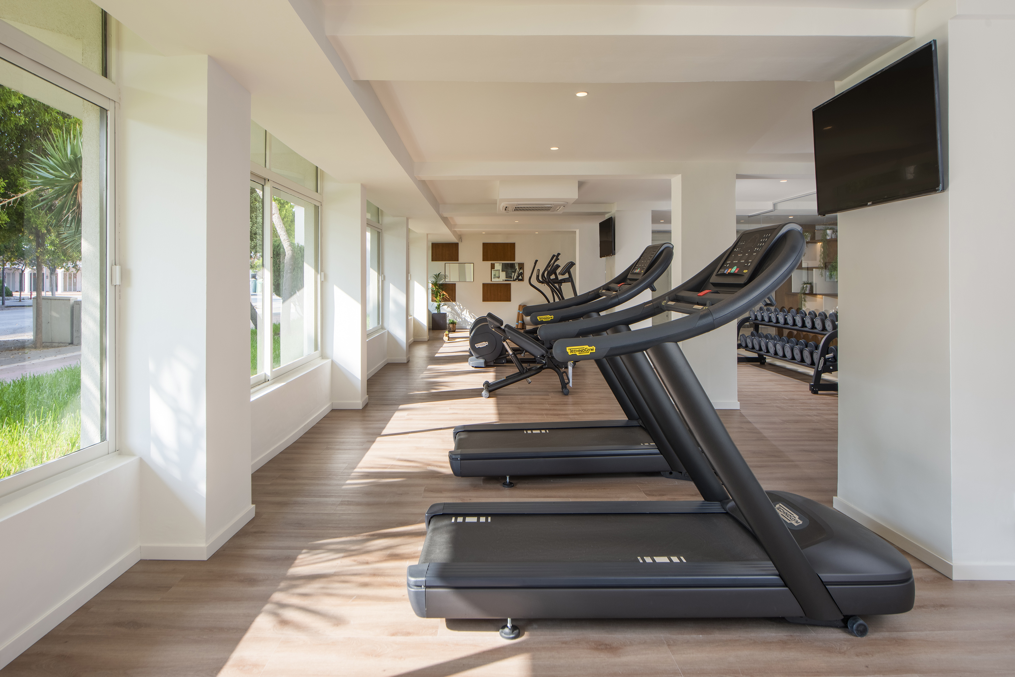 Spacious gym with modern treadmills, fitness equipment, and bright windows.