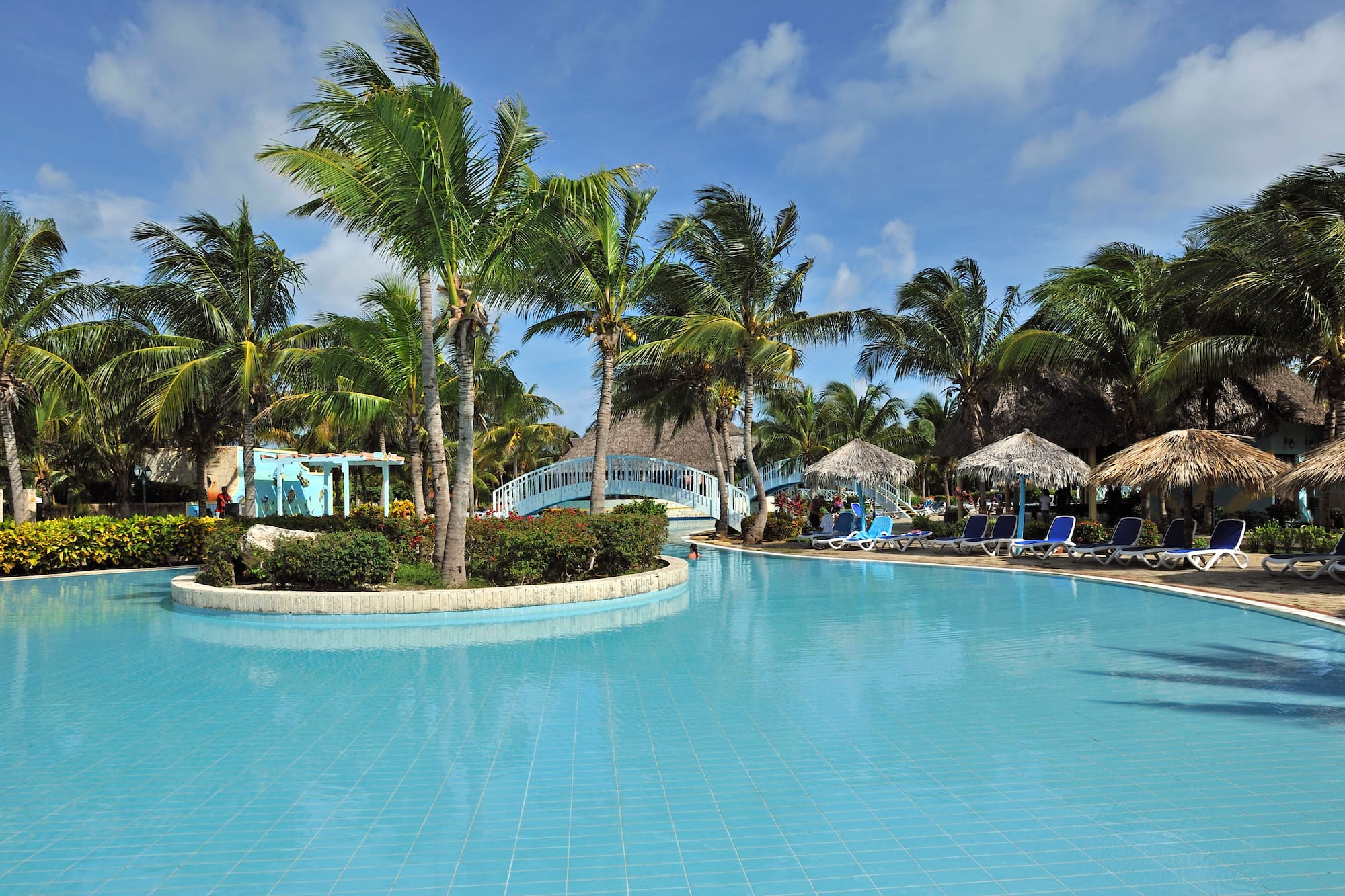 a pool with palm trees and a bridge