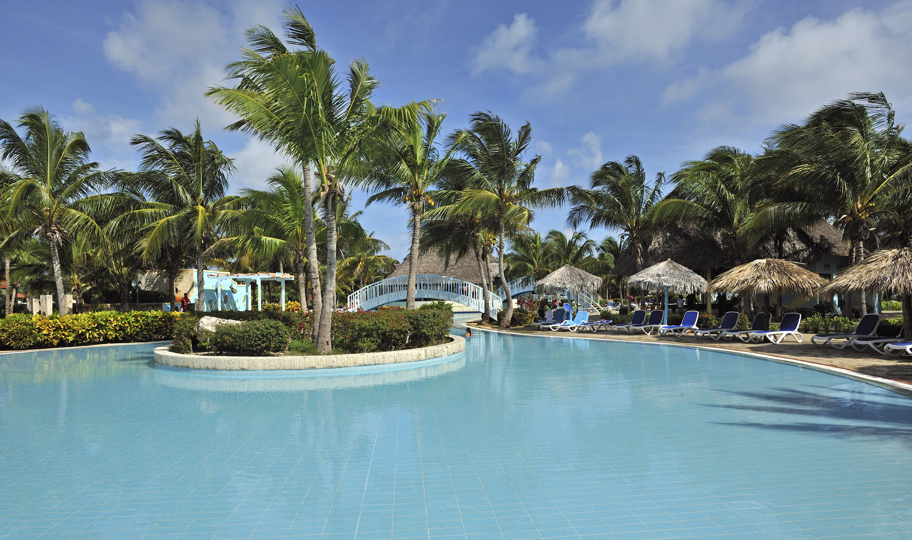 a pool with palm trees and a bridge