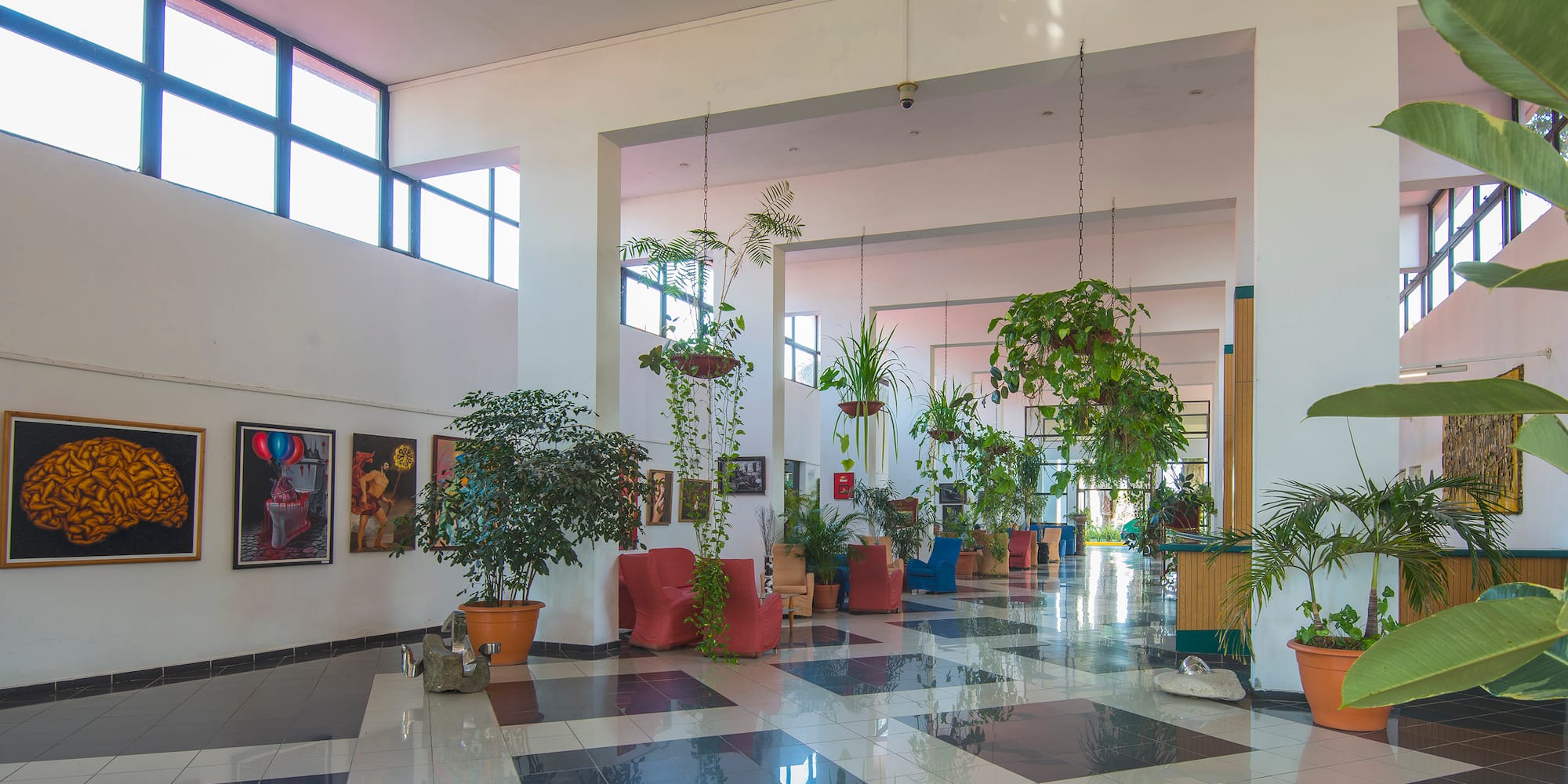 a room with plants in pots
