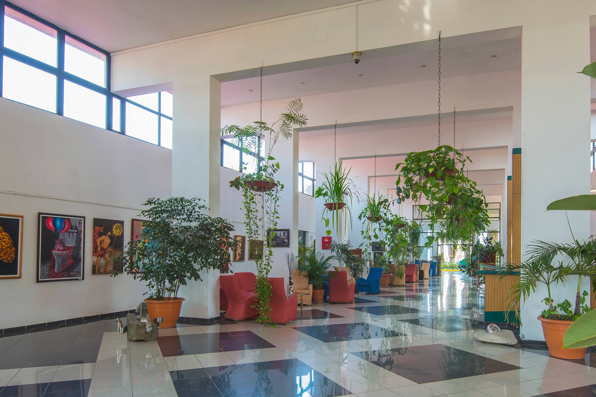 a room with plants in pots
