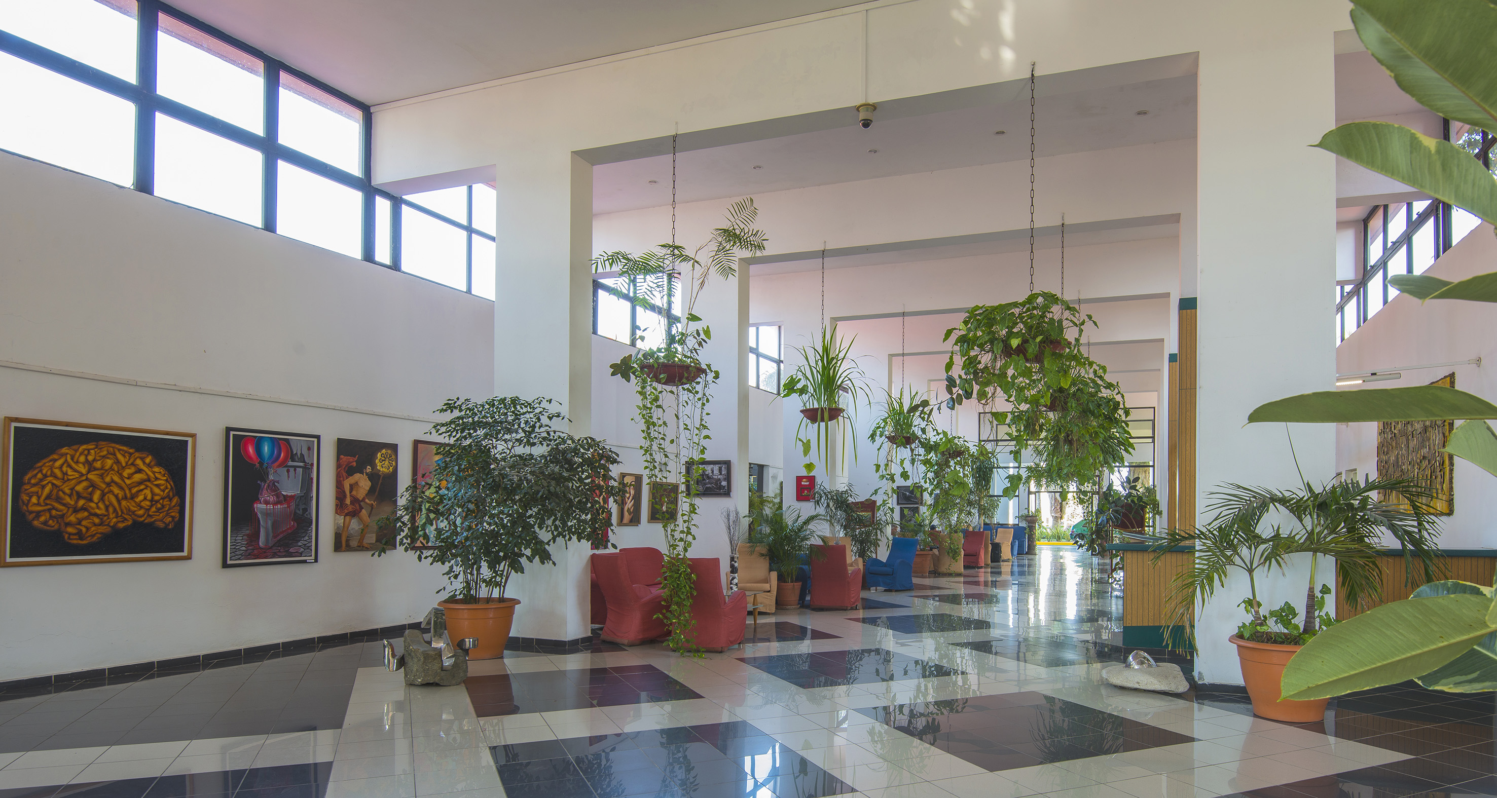 a room with plants in pots