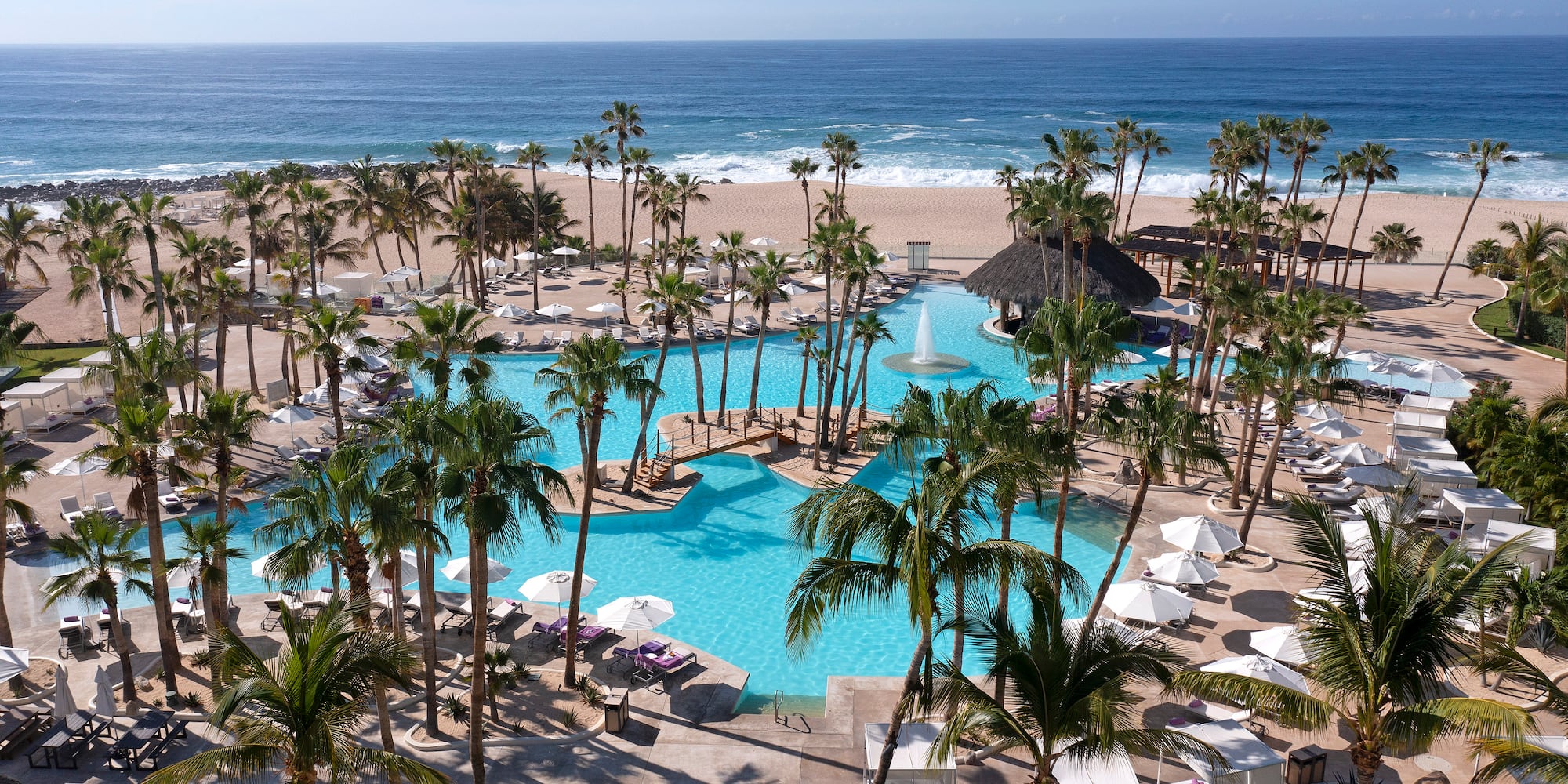 a pool with palm trees and a beach