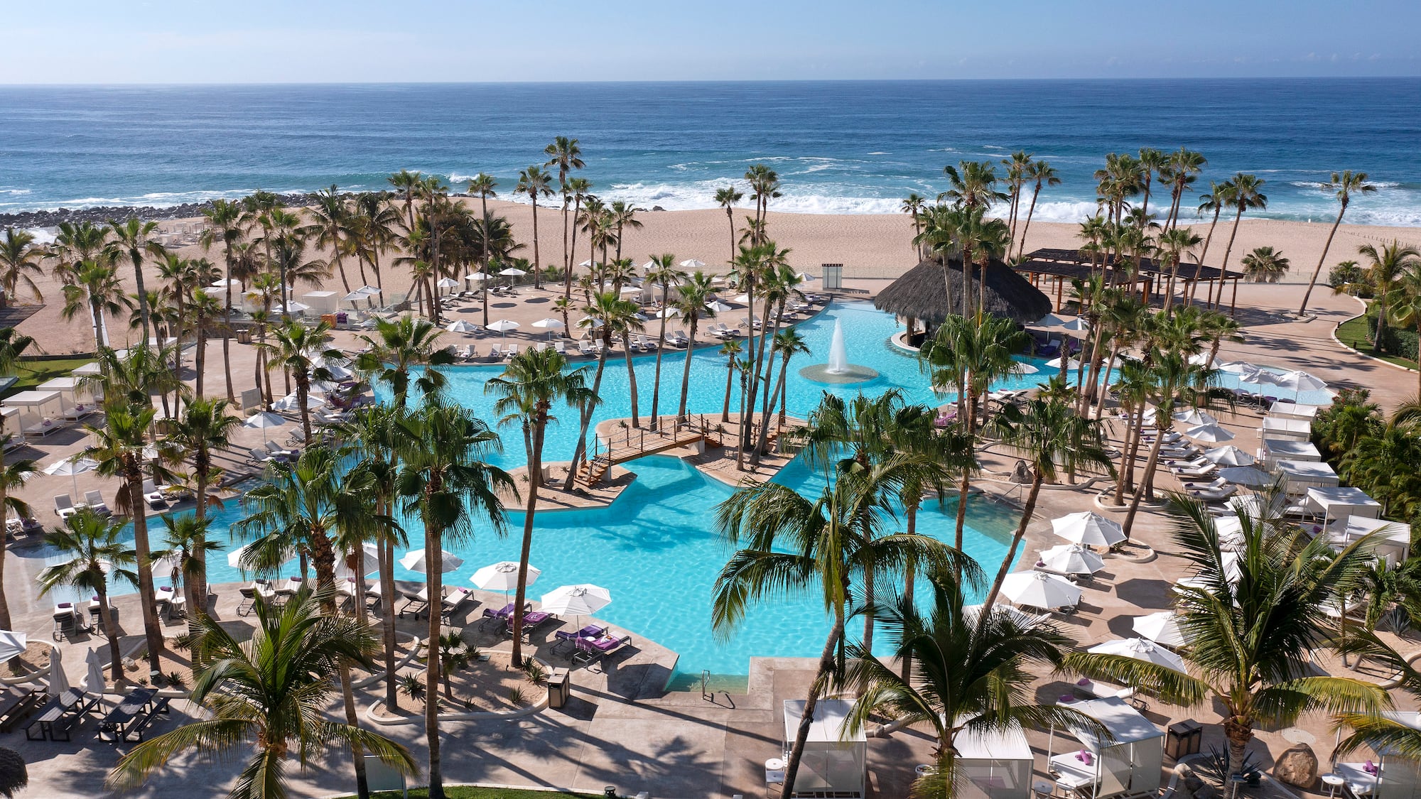 a pool with palm trees and a beach