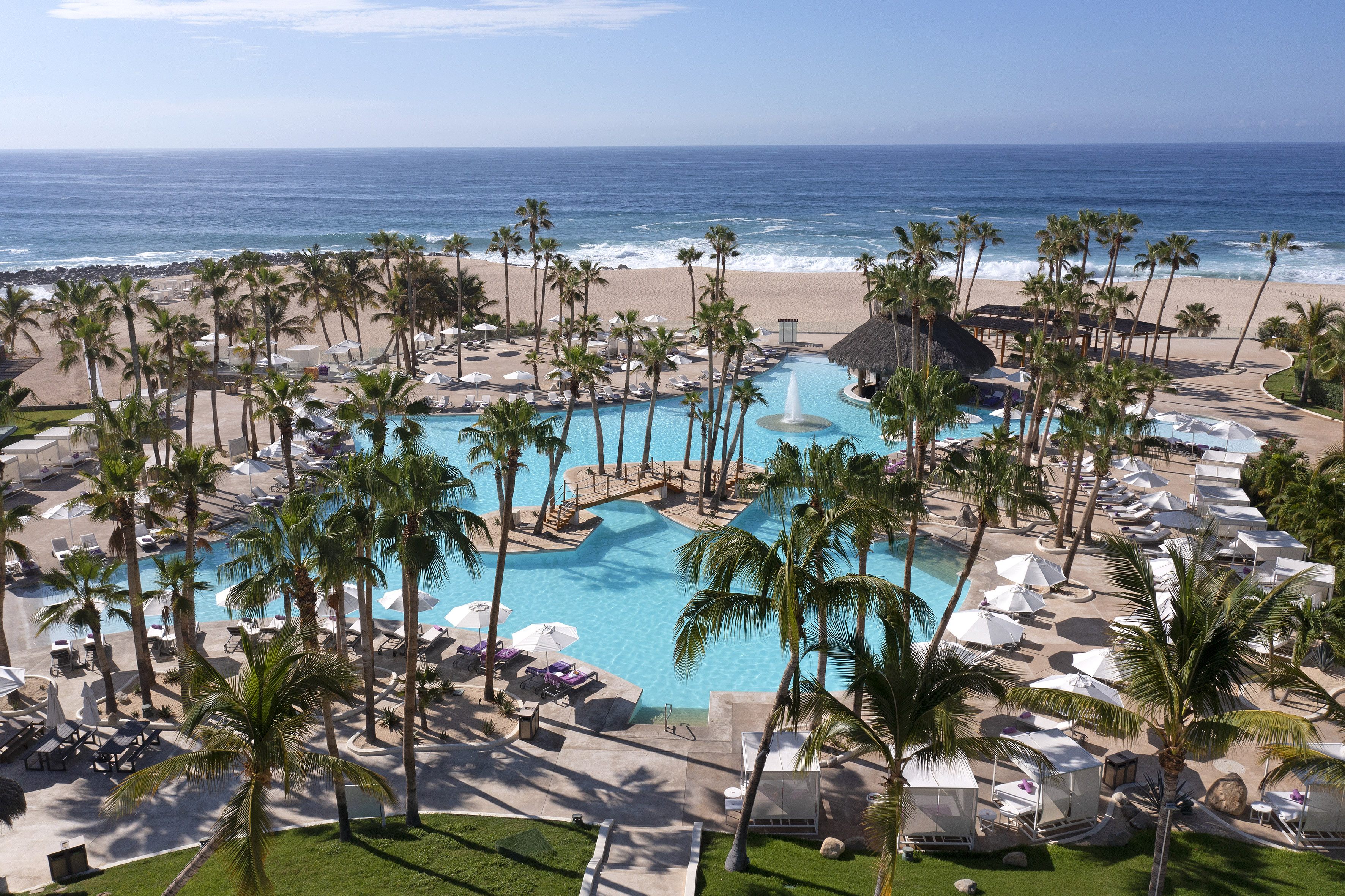 Aerial view of luxury tropical resort pool, palm trees, sandy beach, and ocean.