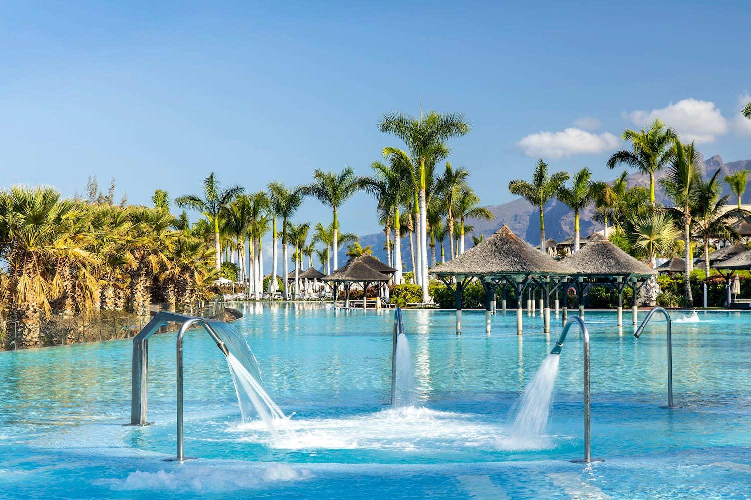 a pool with water jets and trees
