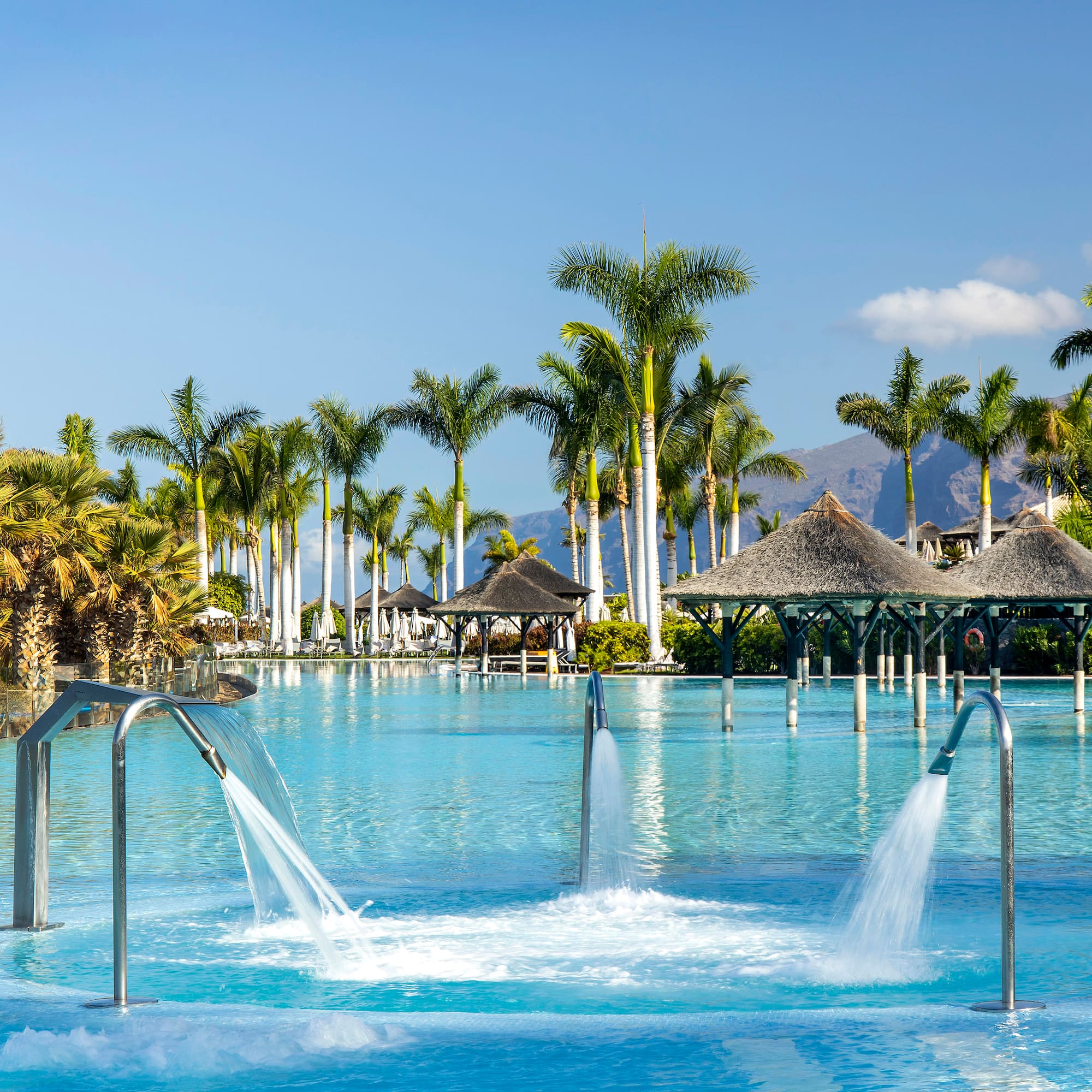 a pool with water jets and trees