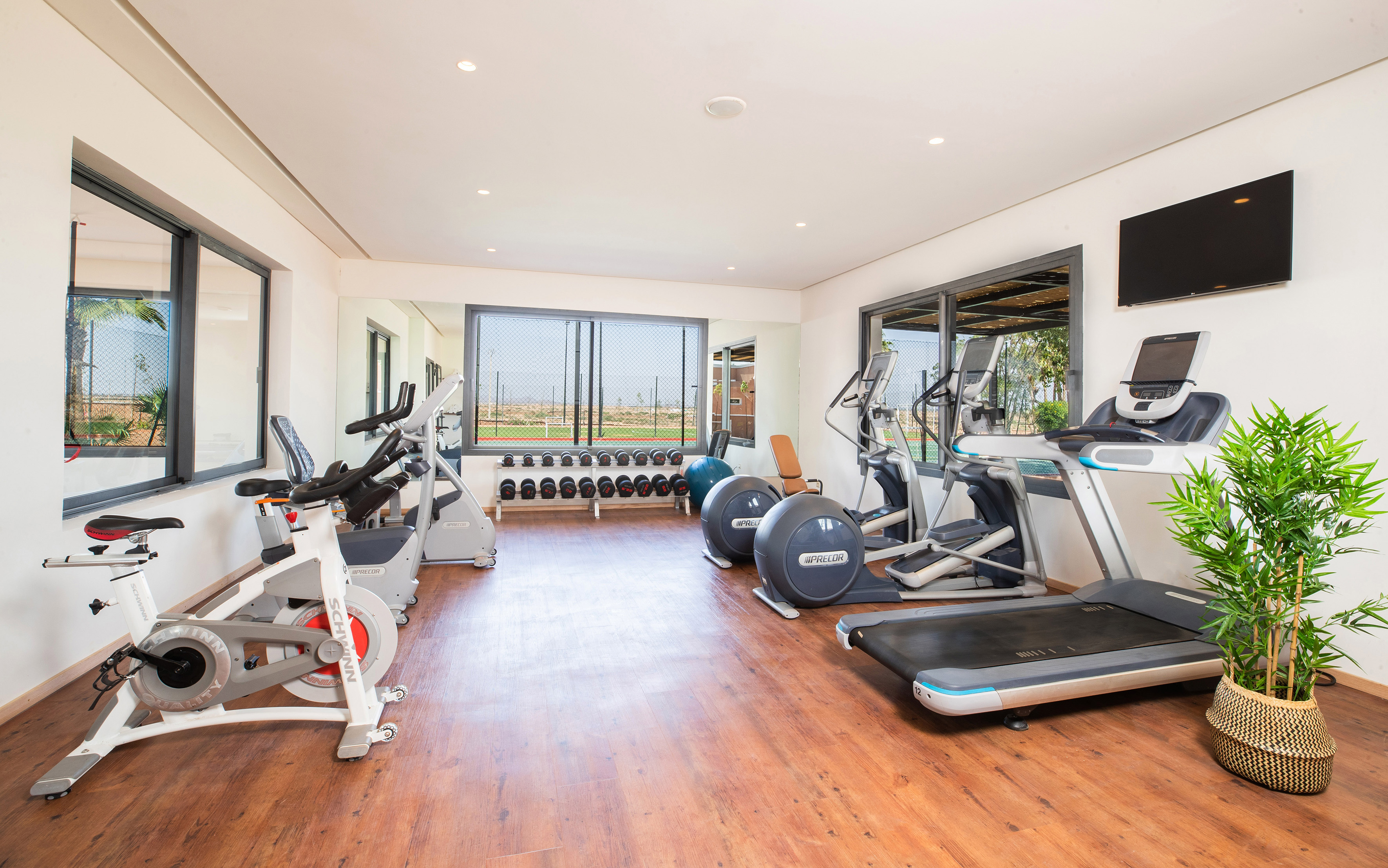 Modern gym with treadmill, ellipticals, bikes, dumbbells, and large windows.