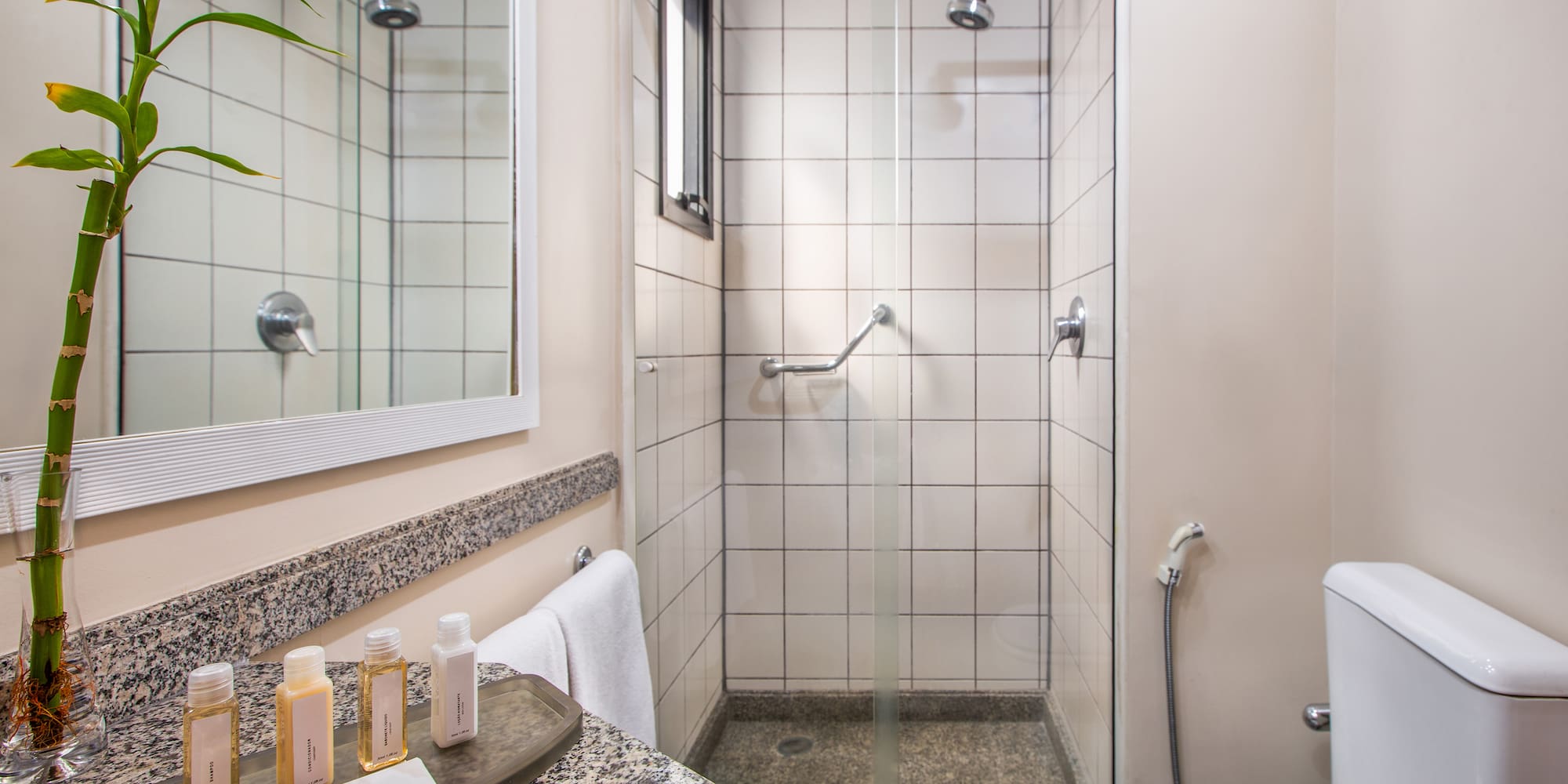 a bathroom with a shower and toilet