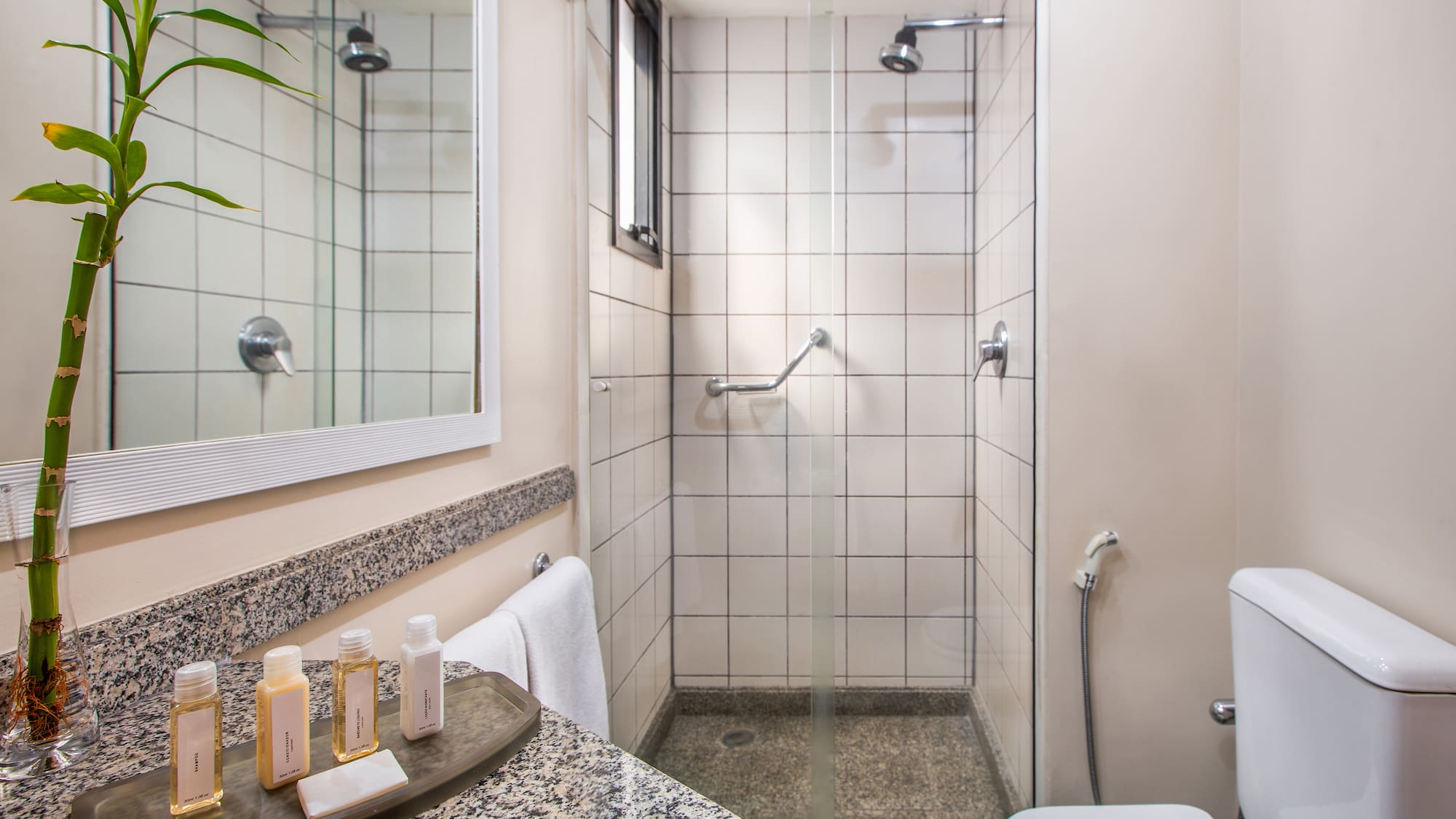 a bathroom with a shower and toilet