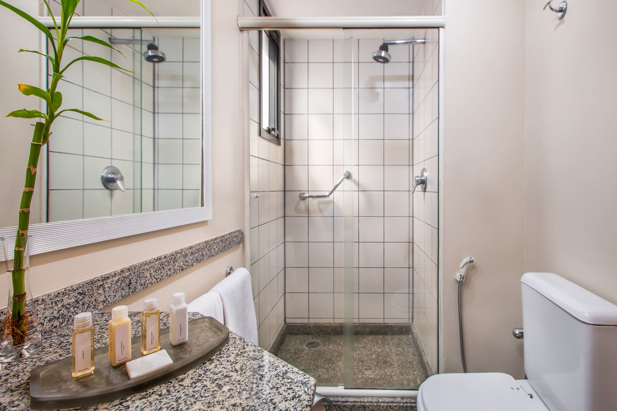 a bathroom with a shower and toilet