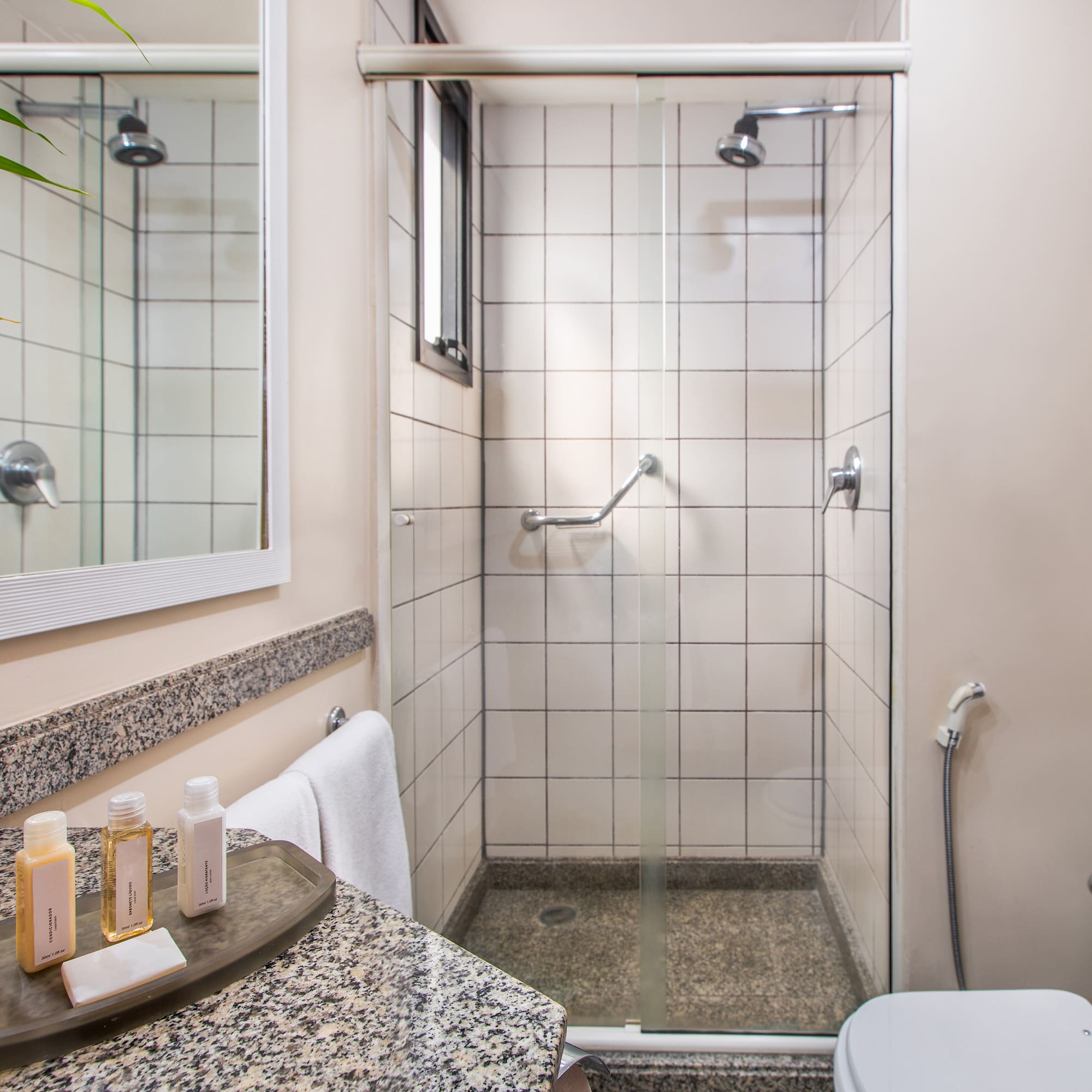 a bathroom with a shower and toilet