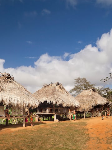 a group of huts with straw roofs