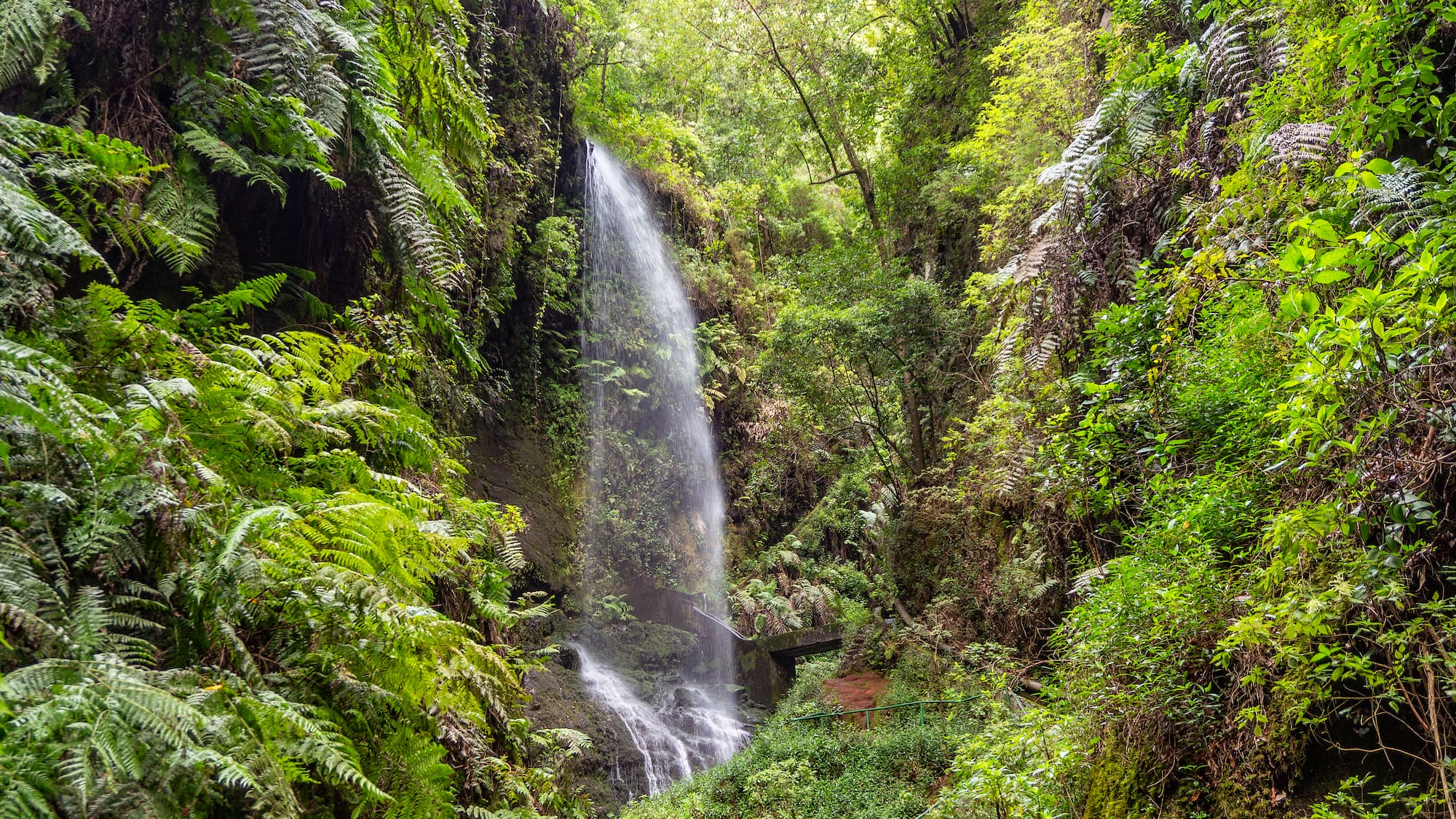 a waterfall in a forest