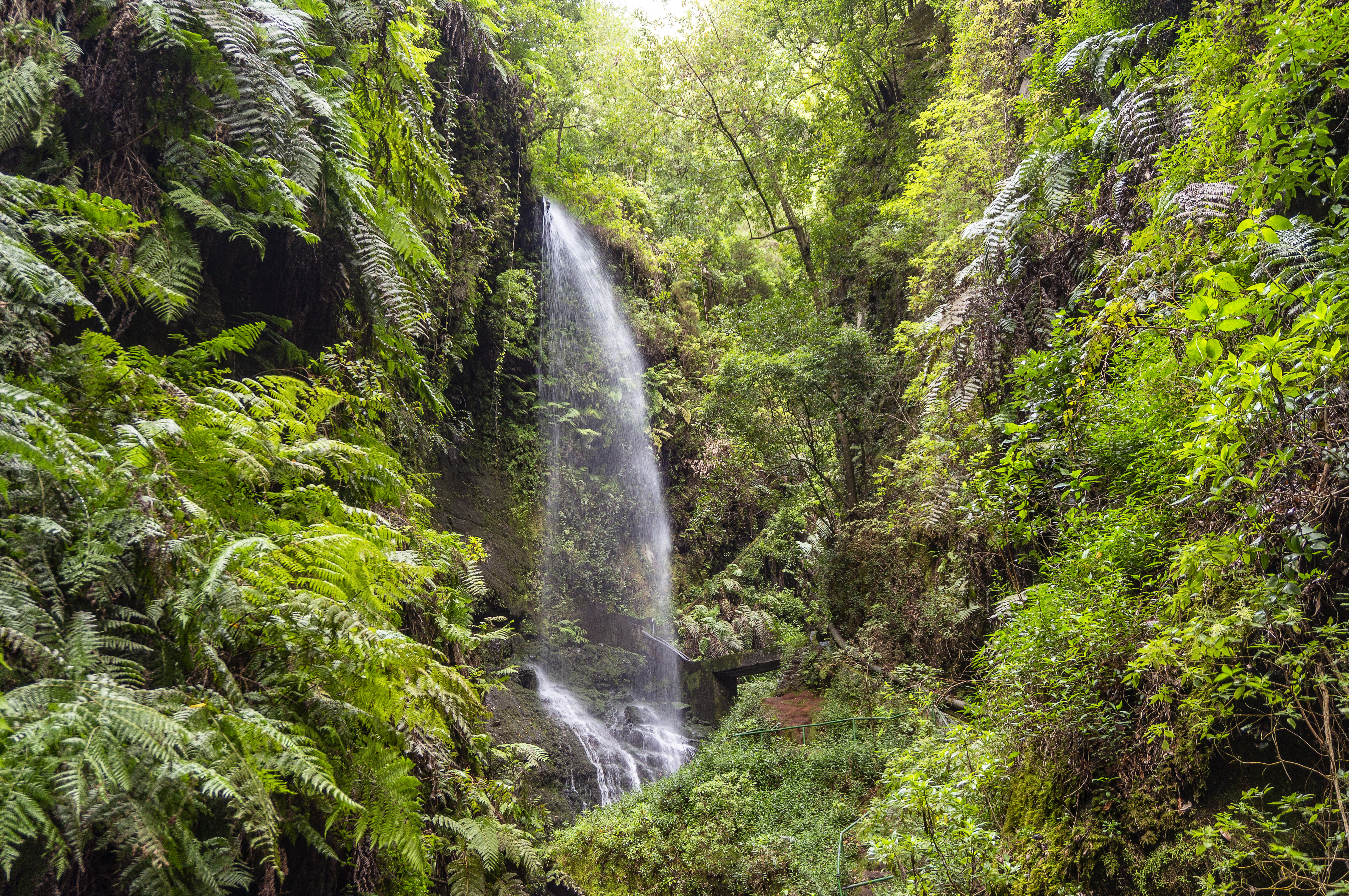 a waterfall in a forest