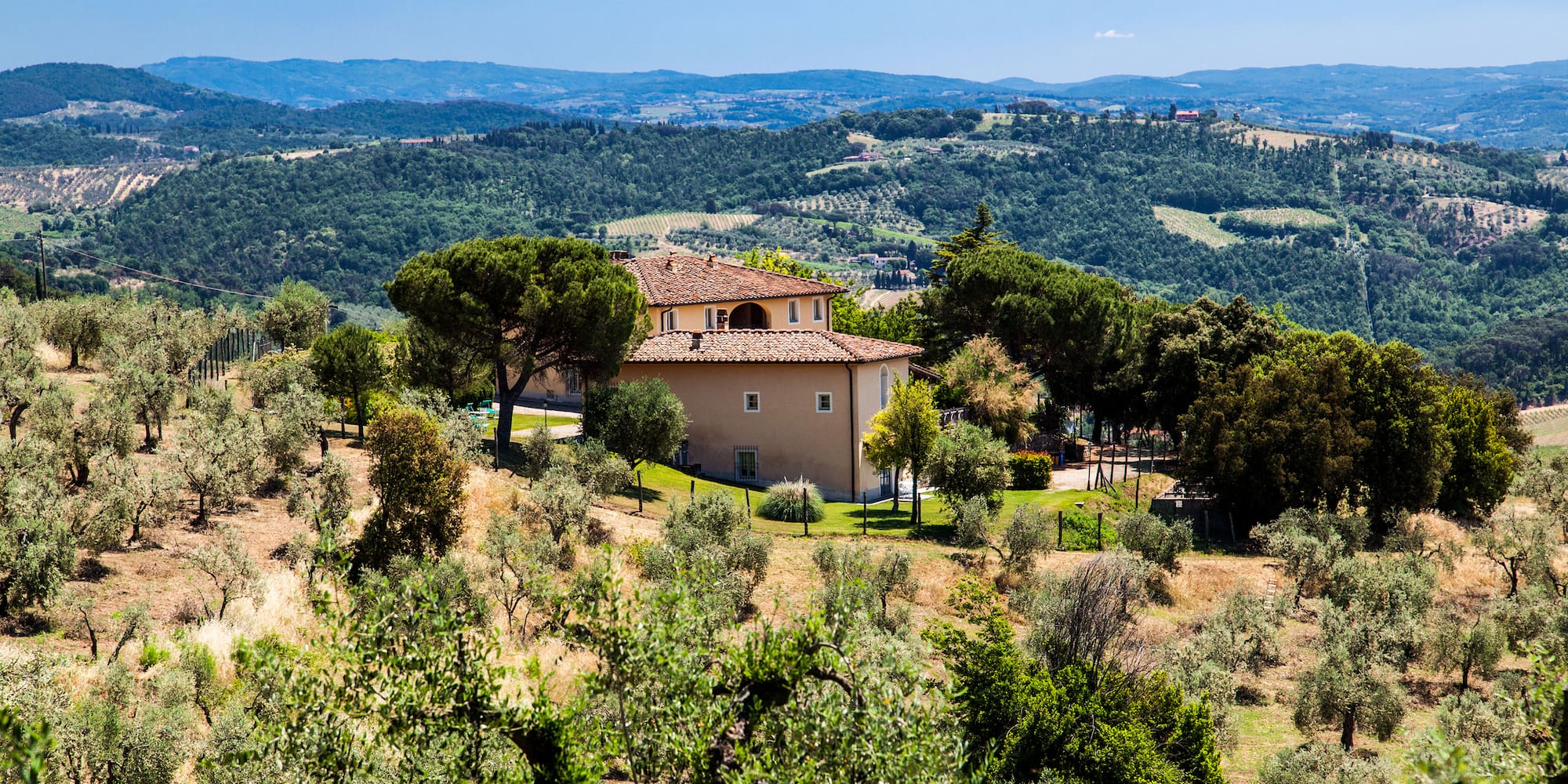 a house in a field with trees