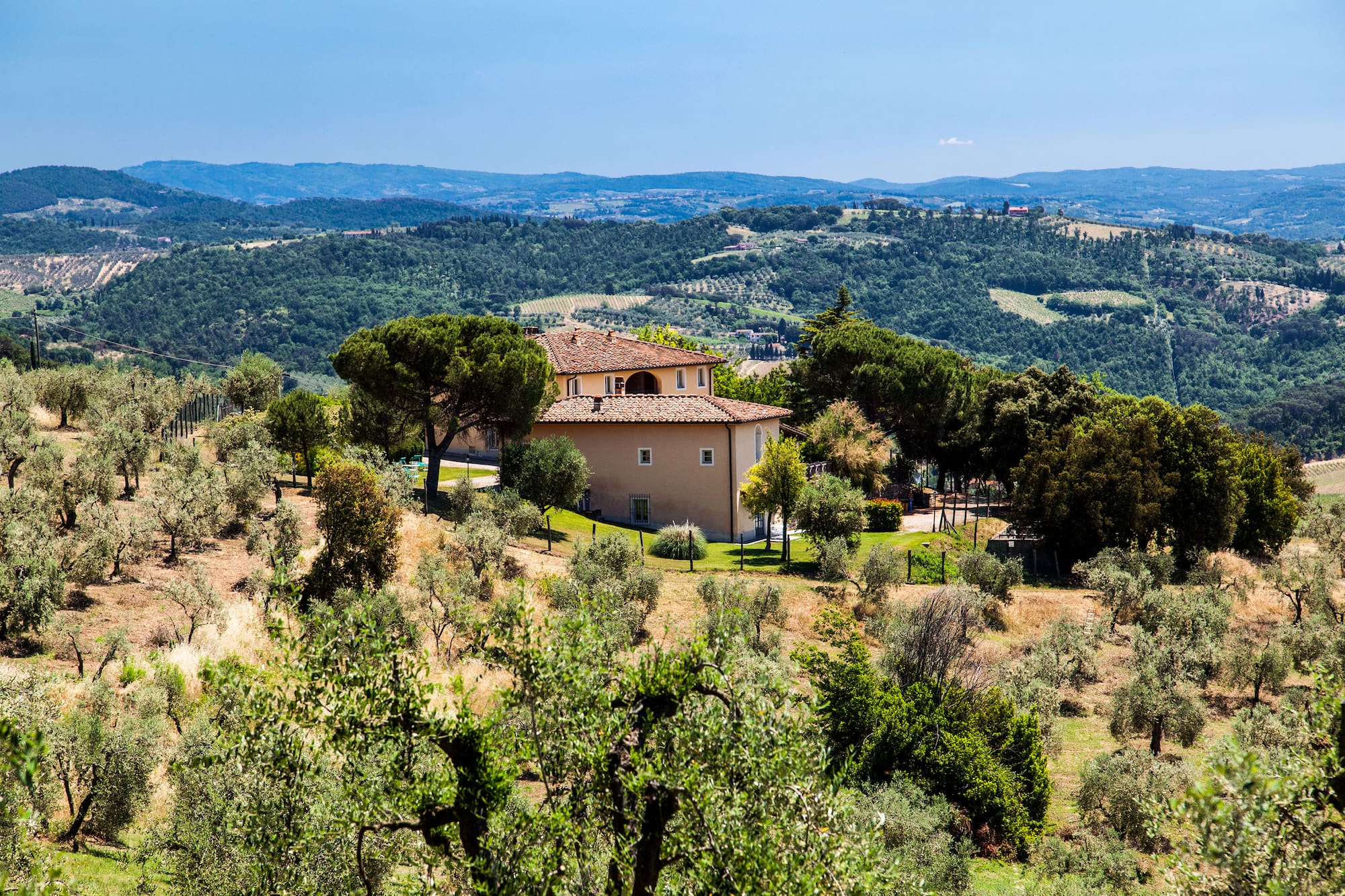 Sunny Tuscan villa surrounded by olive groves and rolling hills.