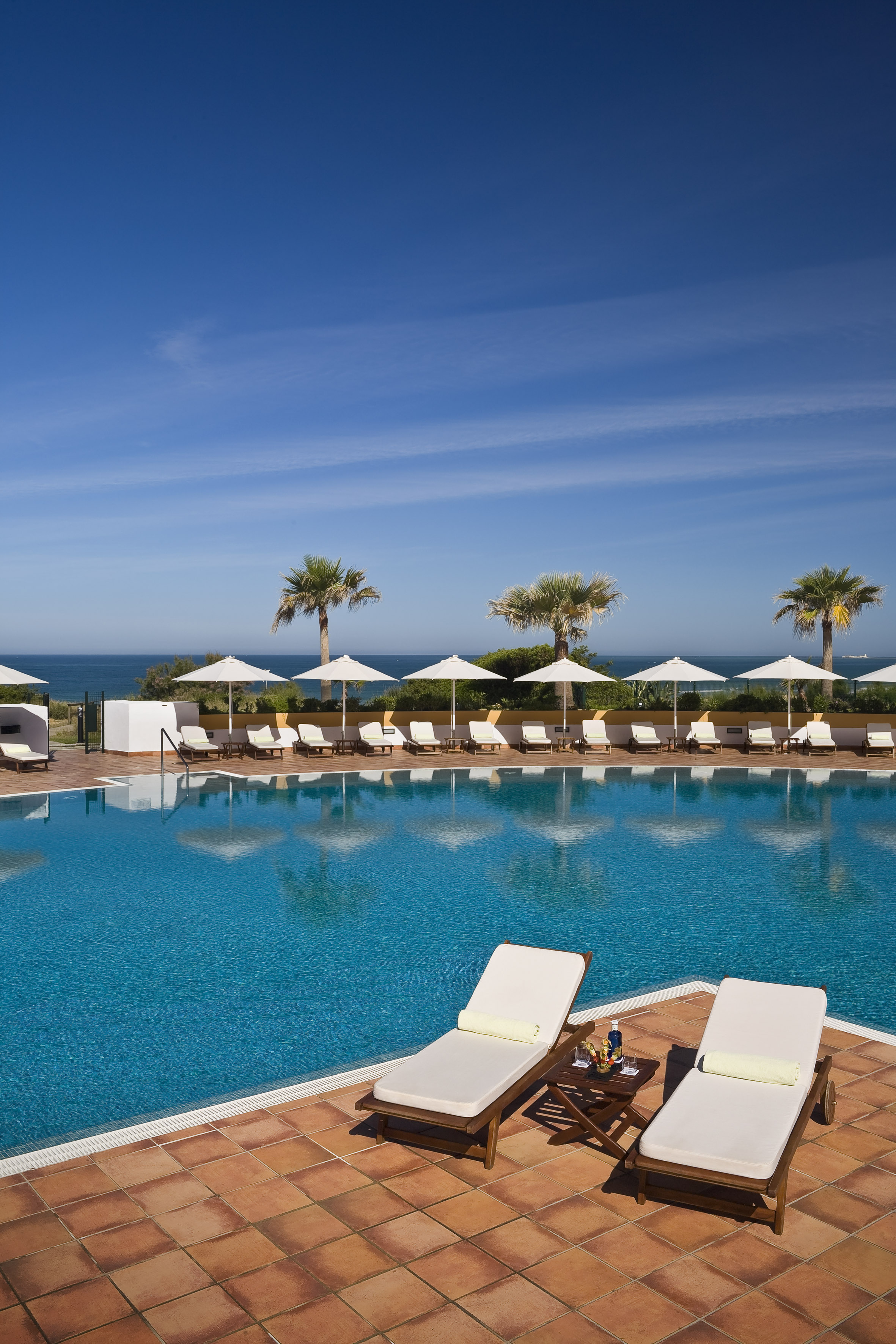 Luxury resort pool with sun loungers, palm trees, and ocean view.
