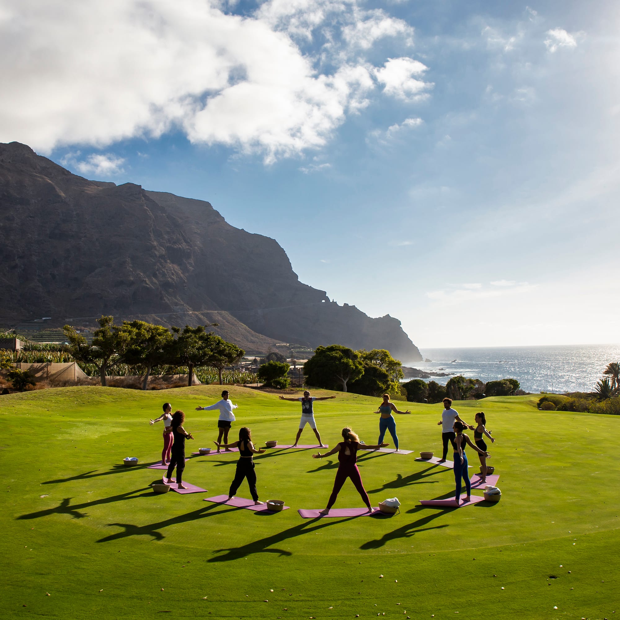 a group of people doing yoga on a grassy field