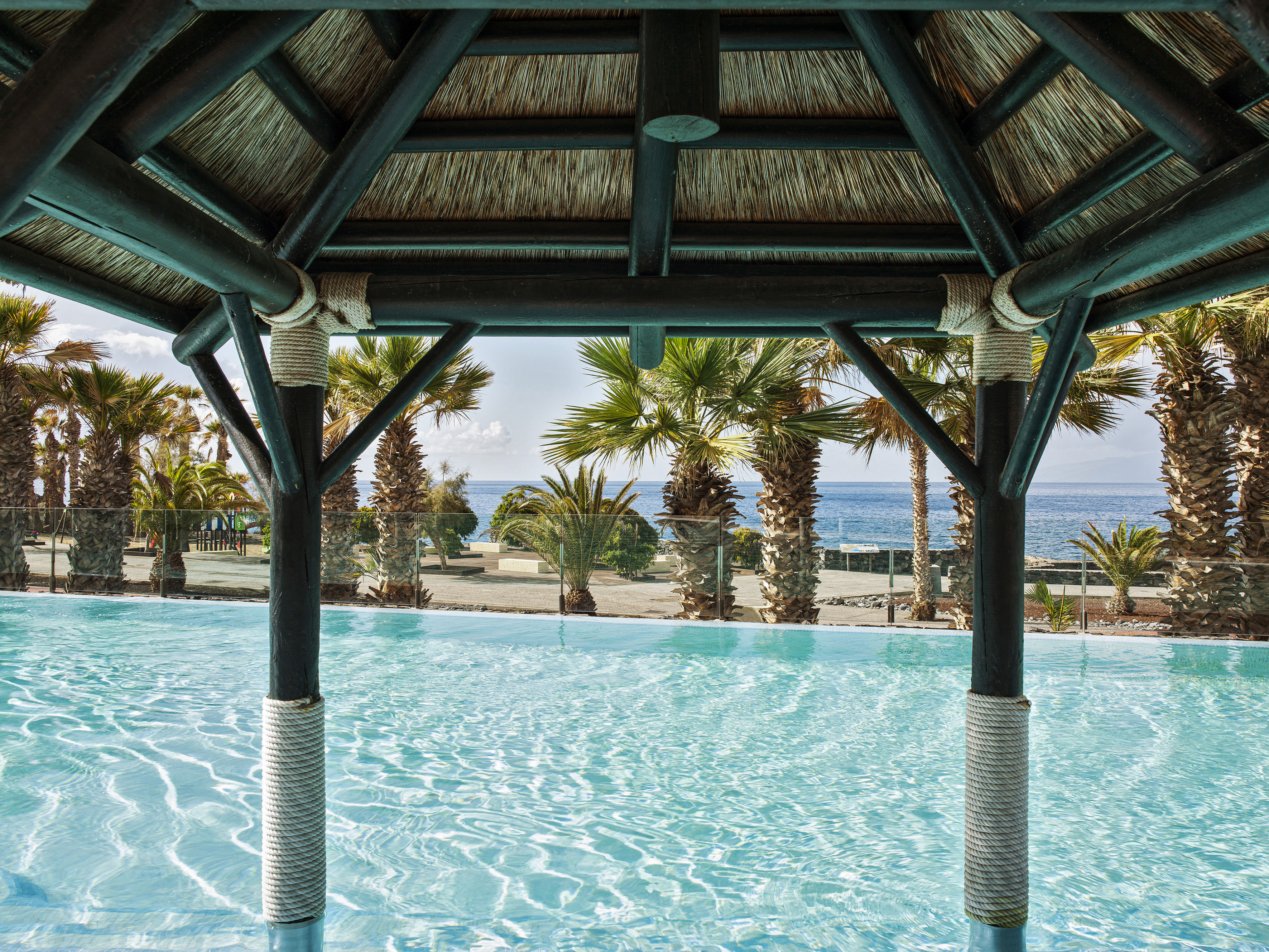 Thatch-roofed cabana by tropical pool, palm trees, and ocean view.