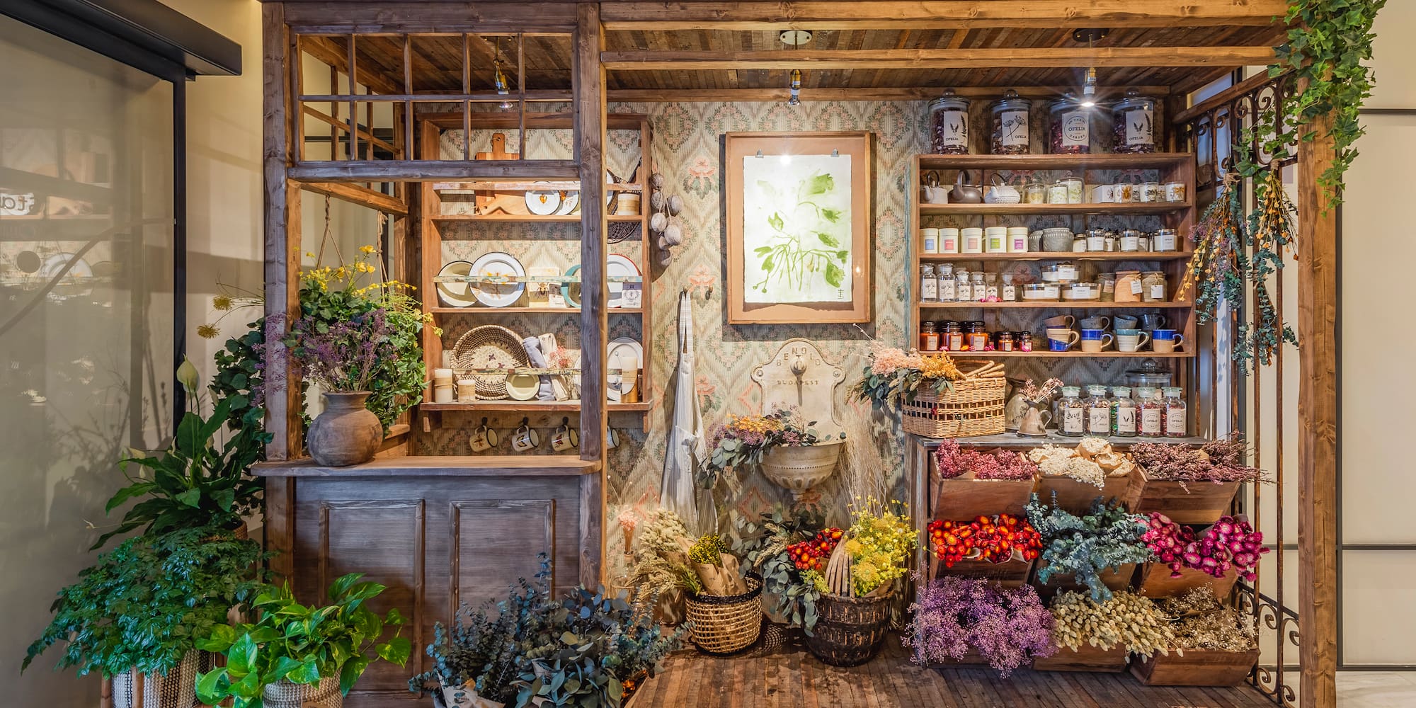 a display of plants and flowers