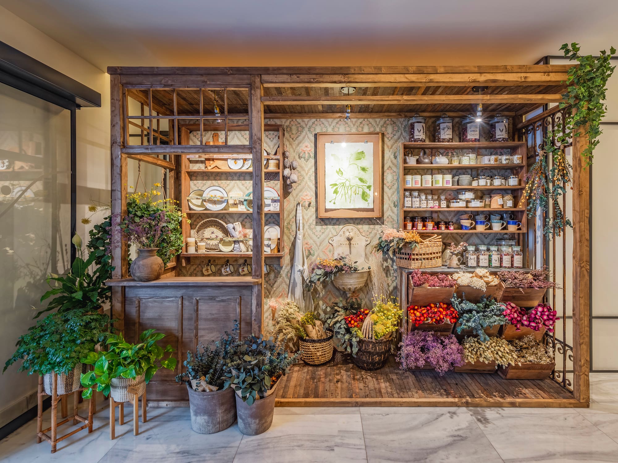 a display of plants and flowers