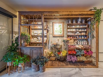 a display of plants and flowers