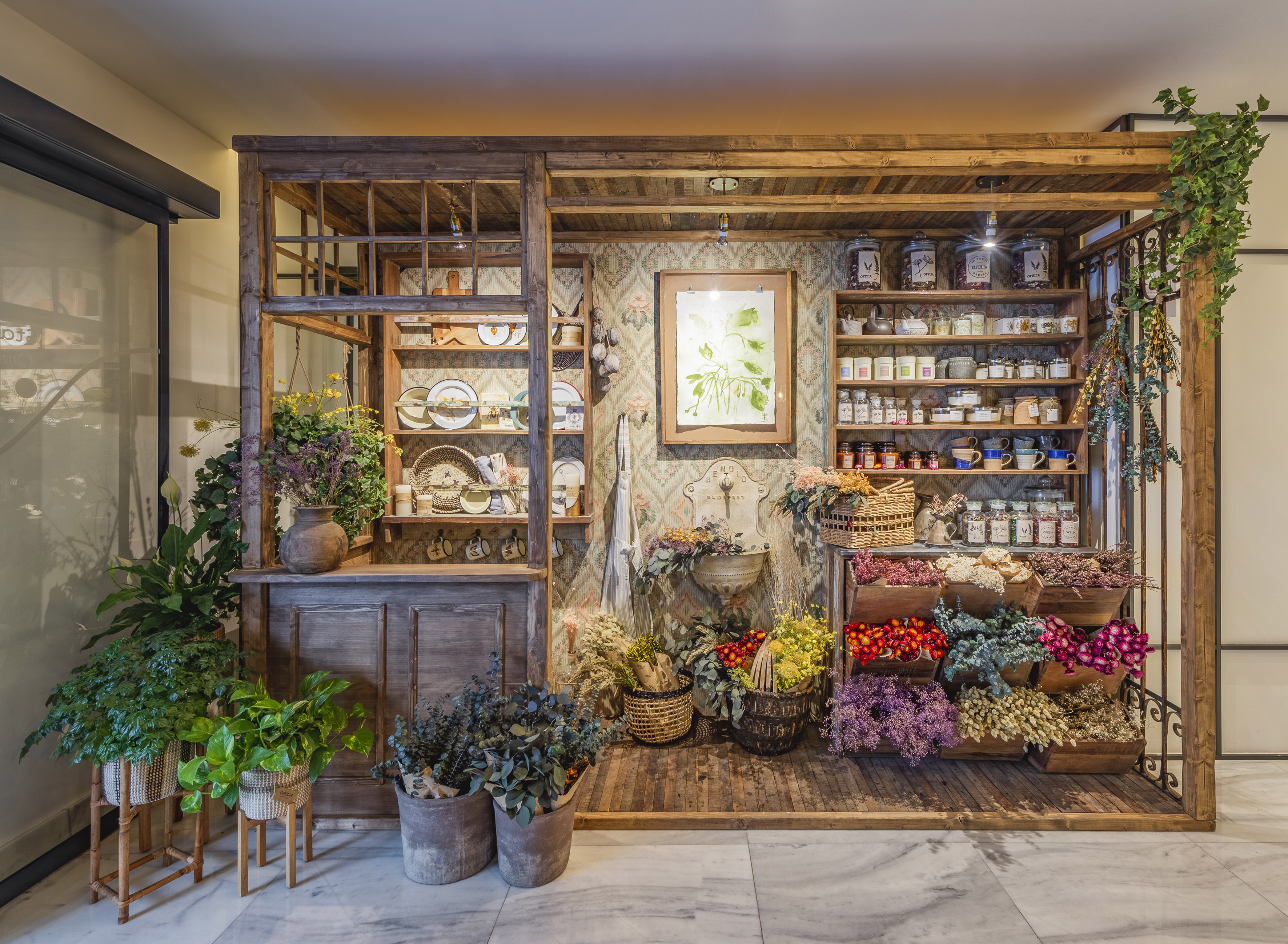 a display of plants and flowers
