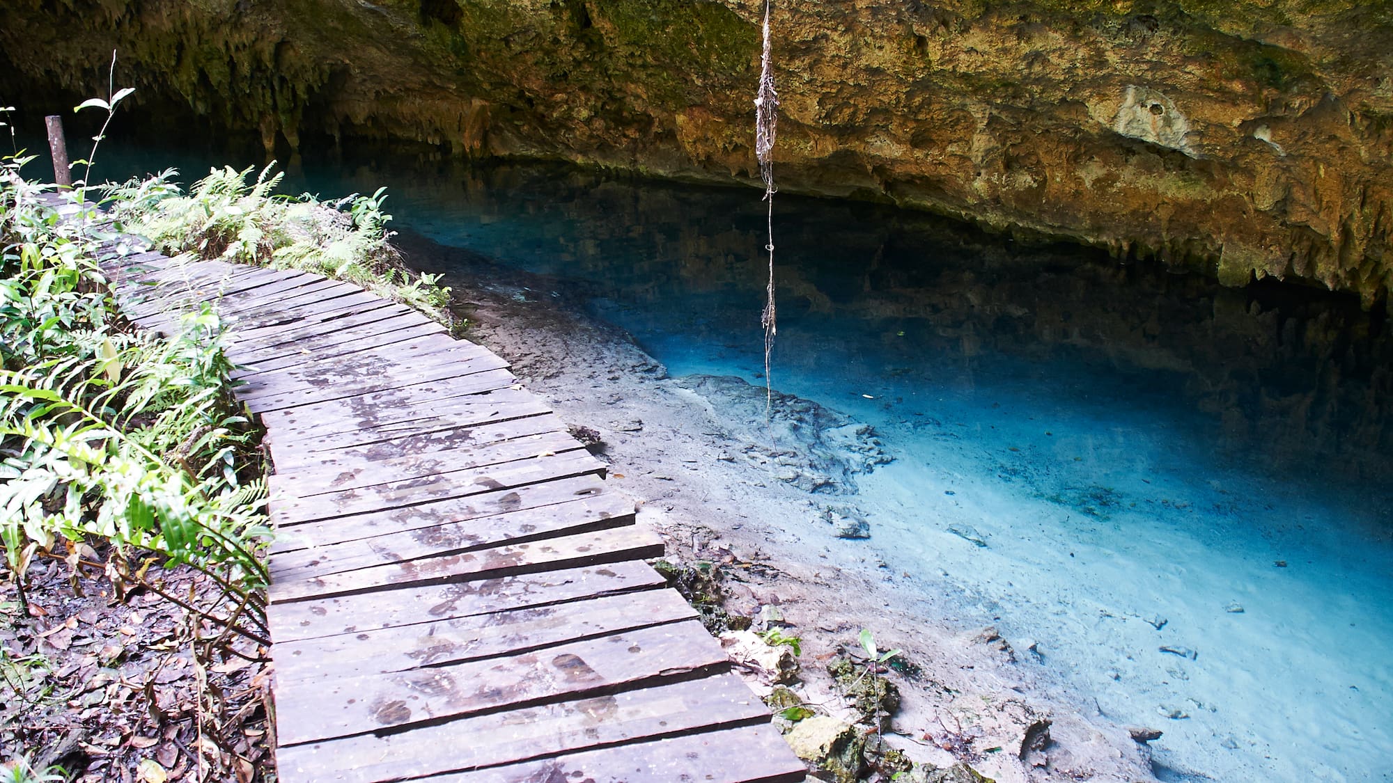 a wooden walkway over a river